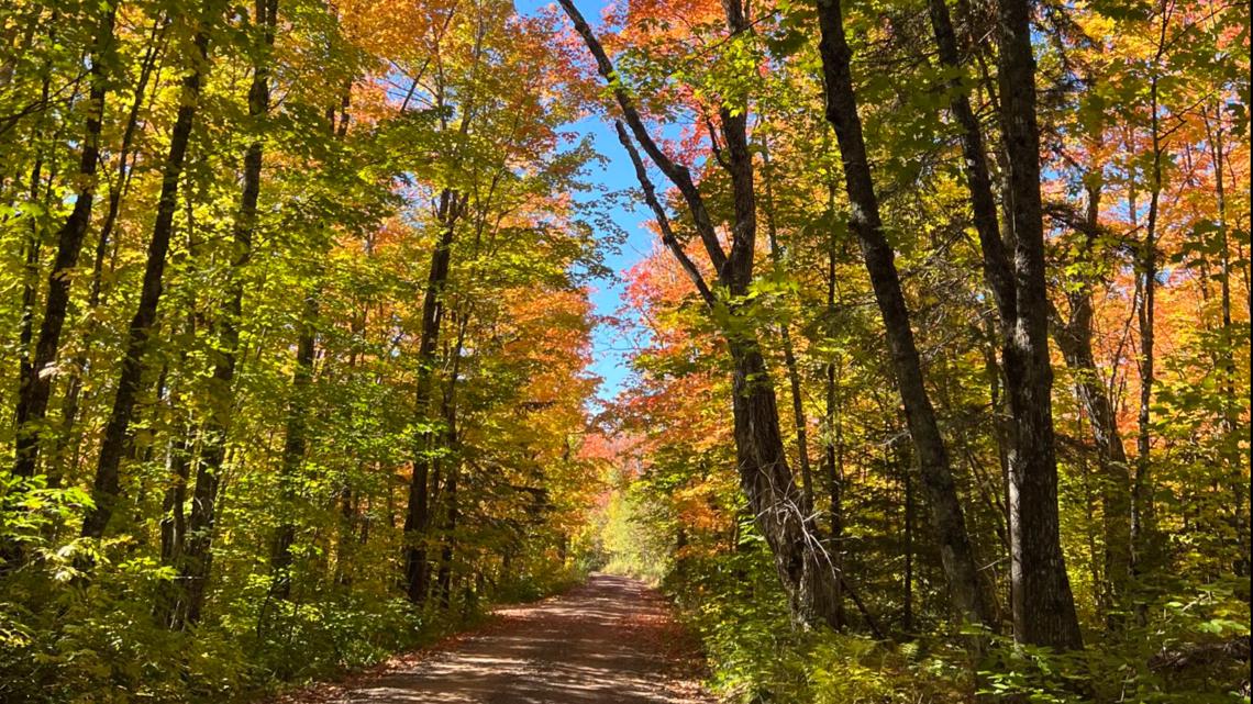 11 Minnesota apple orchards to check out this fall