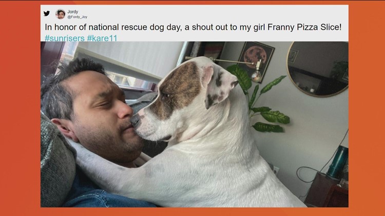 Franny Pizza Slice on National Rescue Dog Day