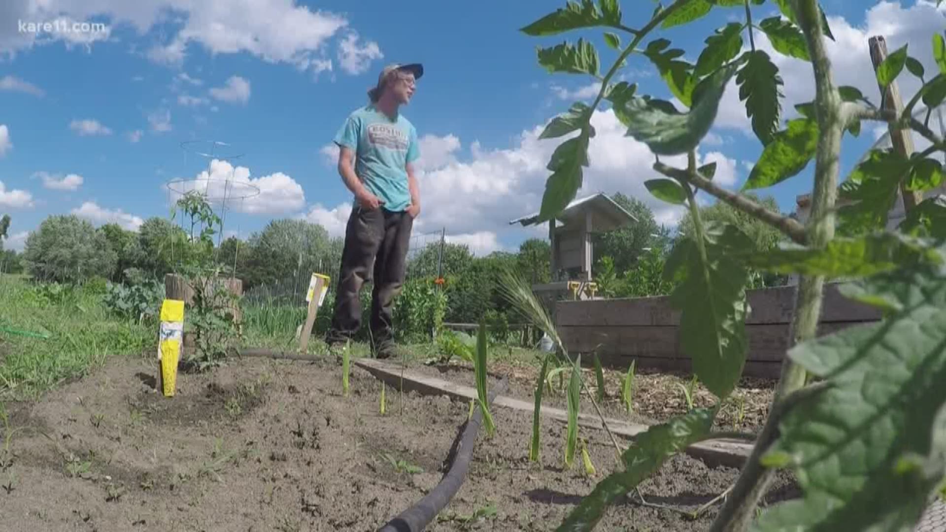"It's heartbreaking for me, because of how much work I put into it, but also I knew the kids would really miss it as well," said garden farmer Ben DeVore.