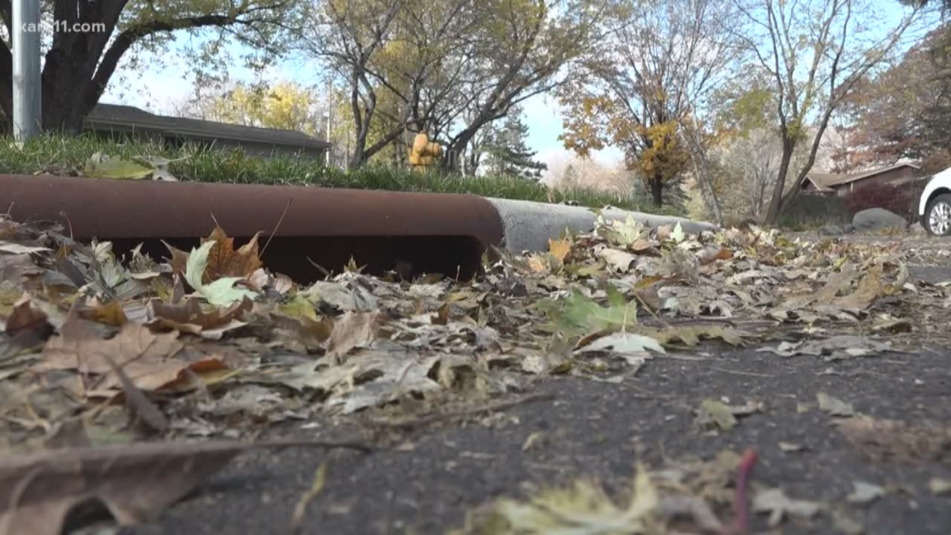 The storm drains on your street are meant for collecting water. But this time of year they tend to collect more leaves than anything else.