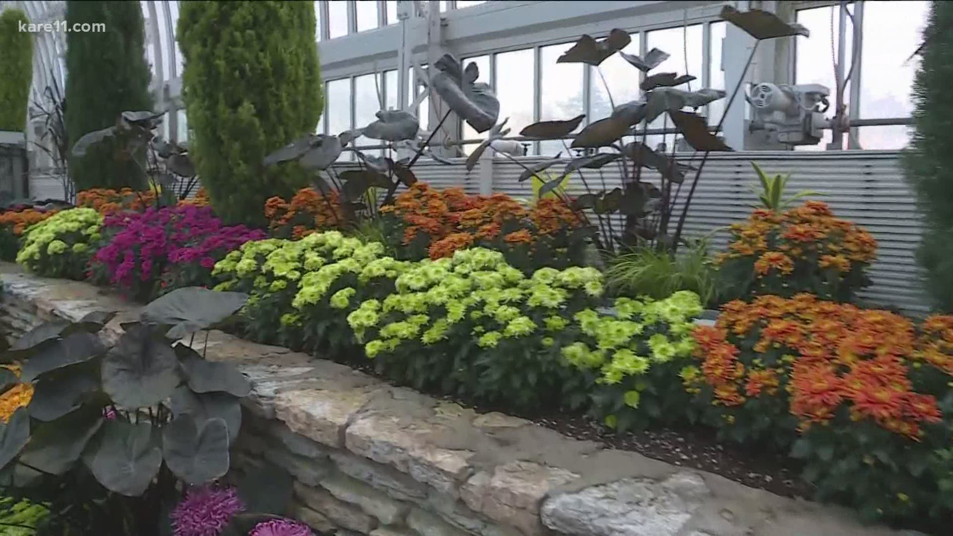 The annual Fall Flower Show is happening at the Marjorie McNeely Conservatory.