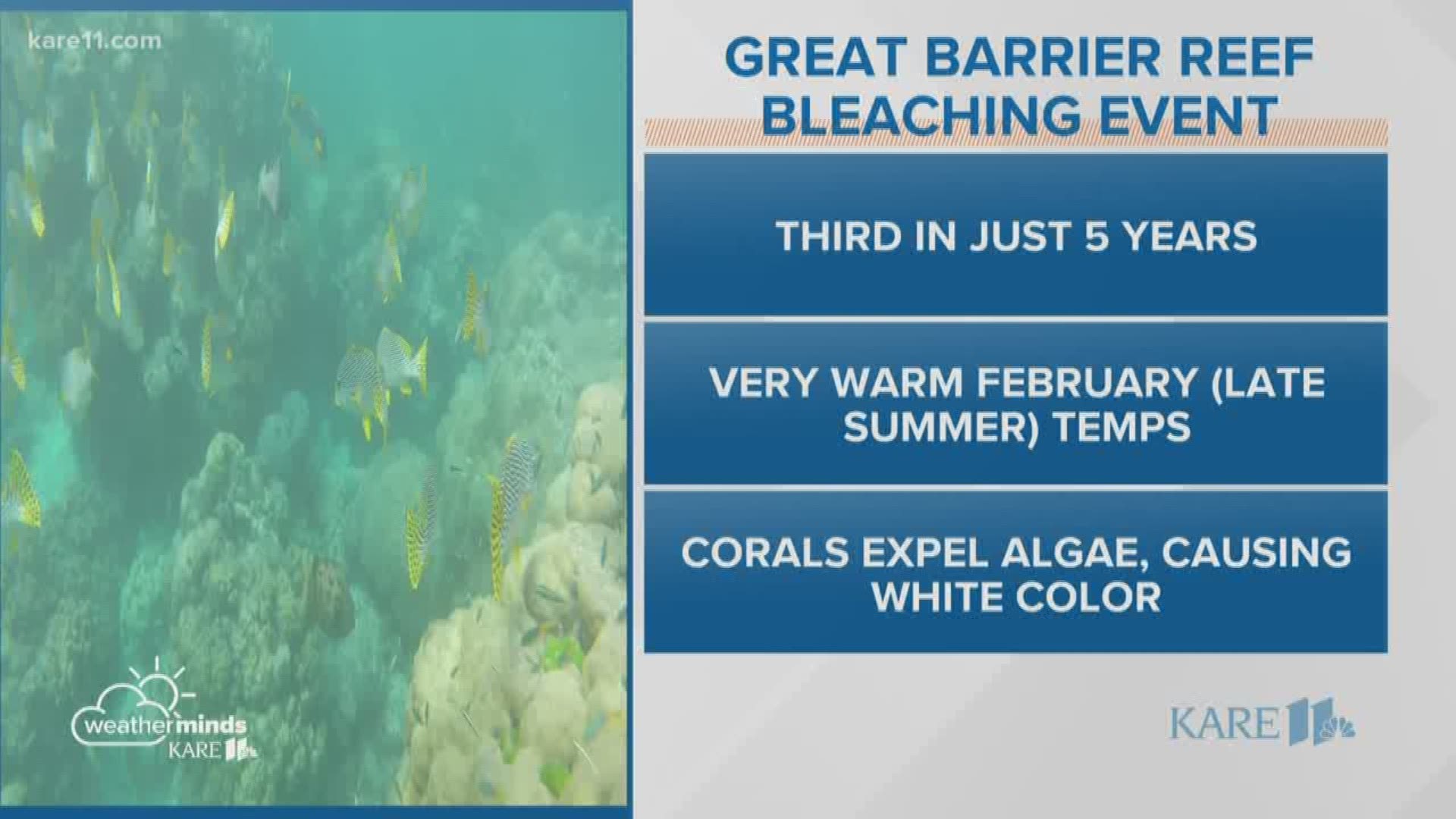 Warmer oceans are blamed for the 3rd report of mass coral reef bleaching in 5 years.