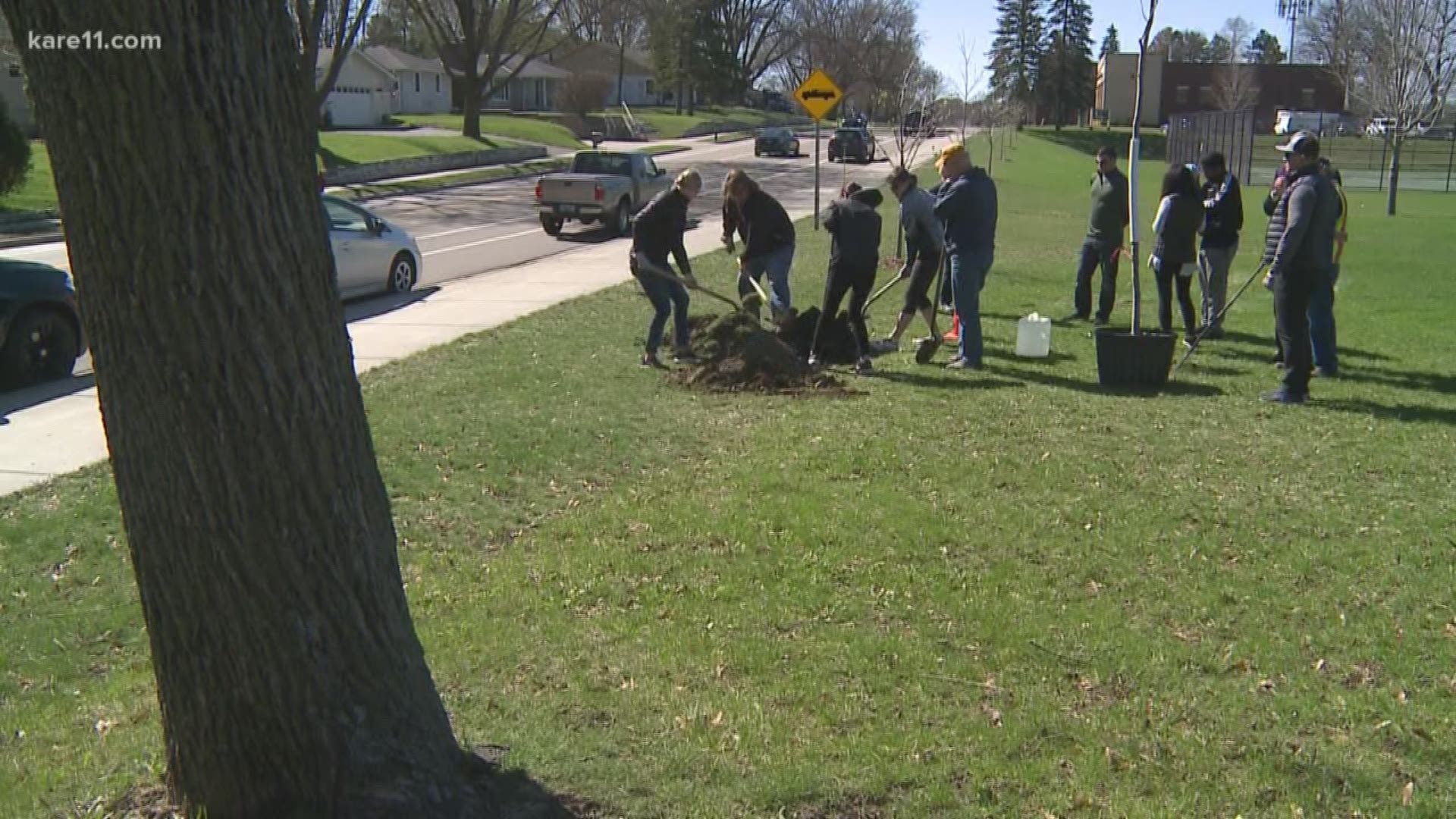 A lot of people were out planting their first trees of spring ... others, in communities like Shakopee, are getting ready to pick up their trees.