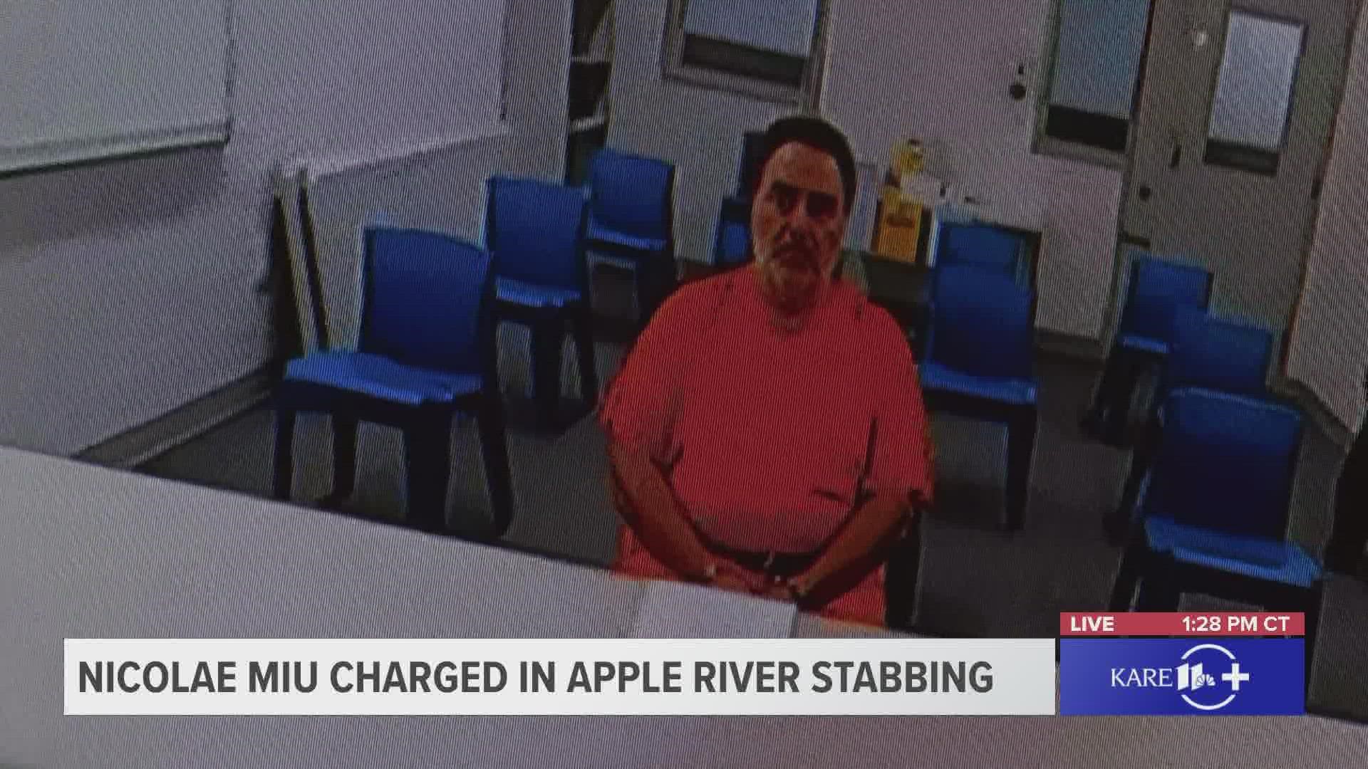 Nicolae Miu, charged with 1st-degree intentional homicide and four other counts in connection to a stabbing along the Apple River, appeared in court on Aug. 1, 2022.