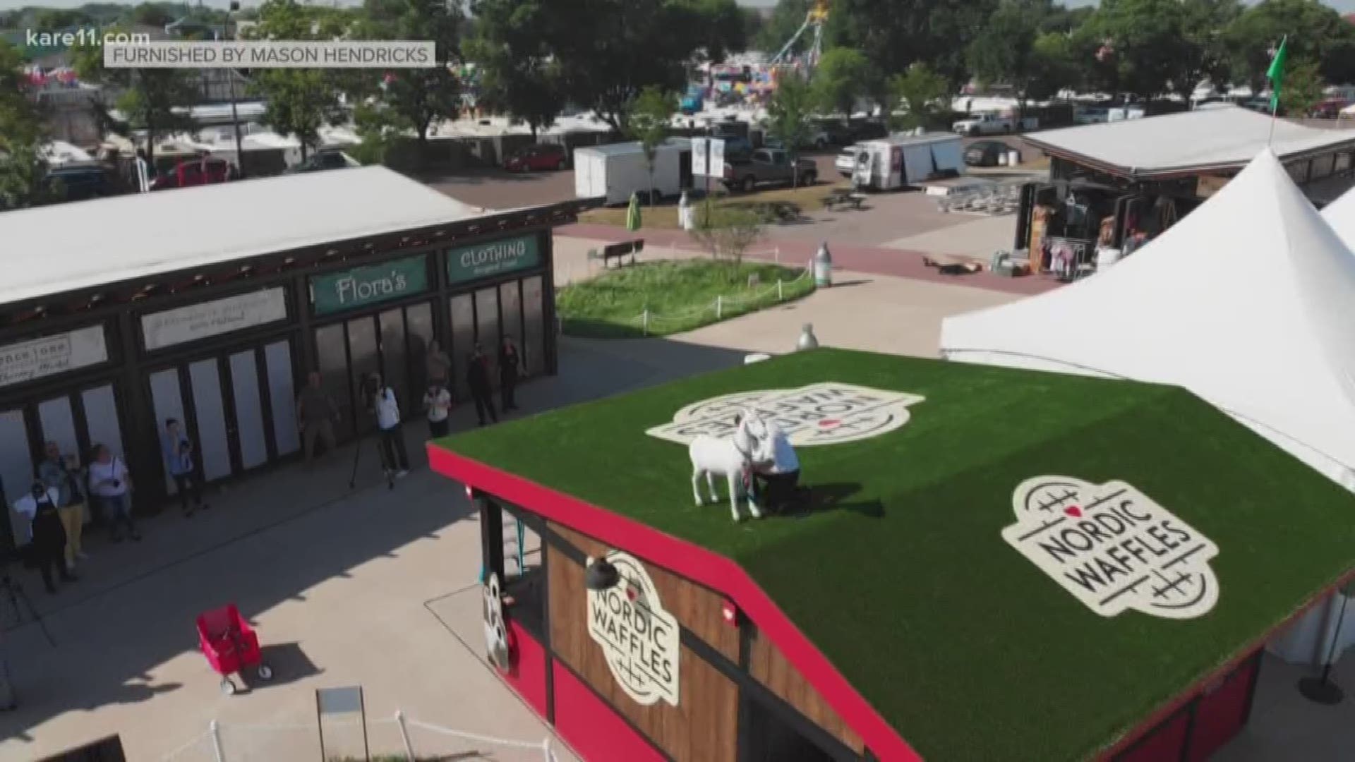 Why does Nordic Waffles have a goat on its roof at the Minnesota State Fair? Dave Schwartz asked just that... and also found out about an opportunity to help name the goat. https://kare11.tv/2P64lzx