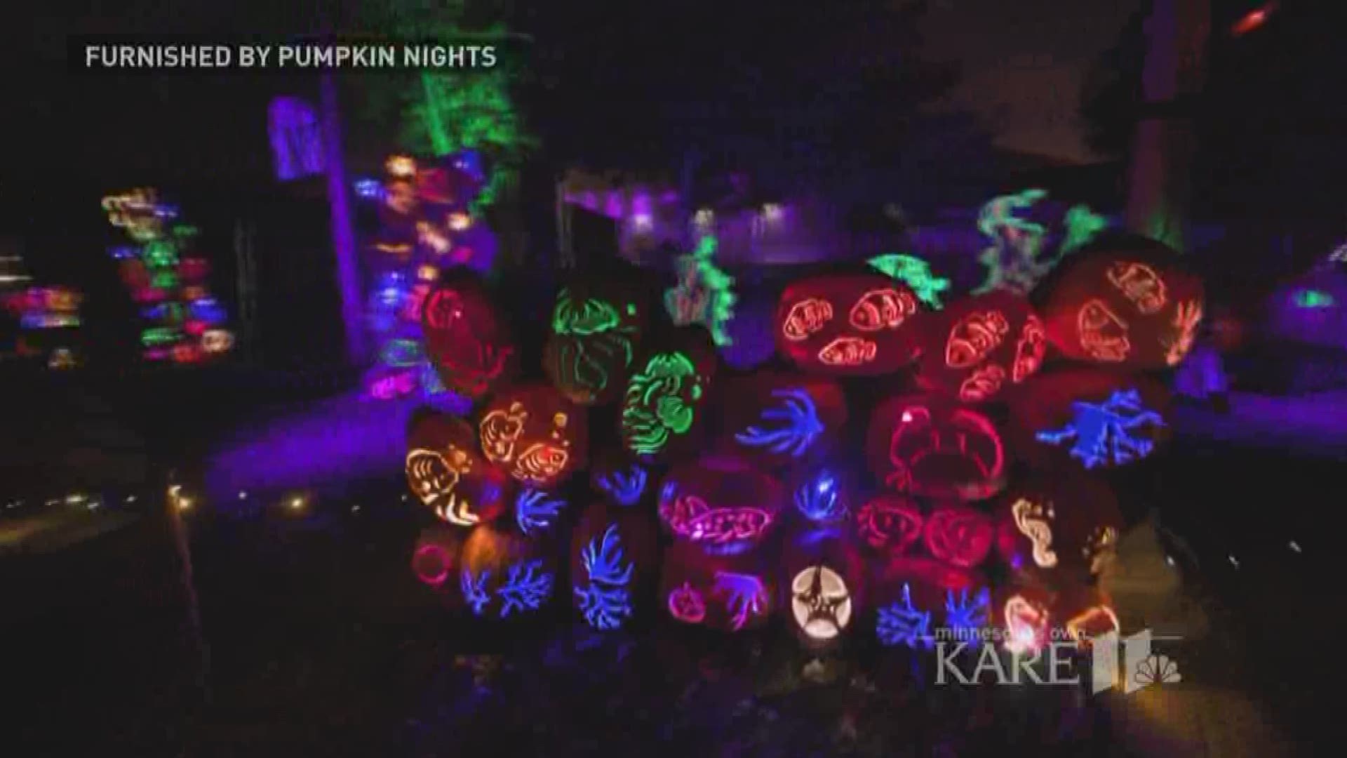 Coming back for its second year, Pumpkin Nights is a Halloween display that families of all ages can enjoy. Ryan Lisson explains the work that goes into this amazing display.