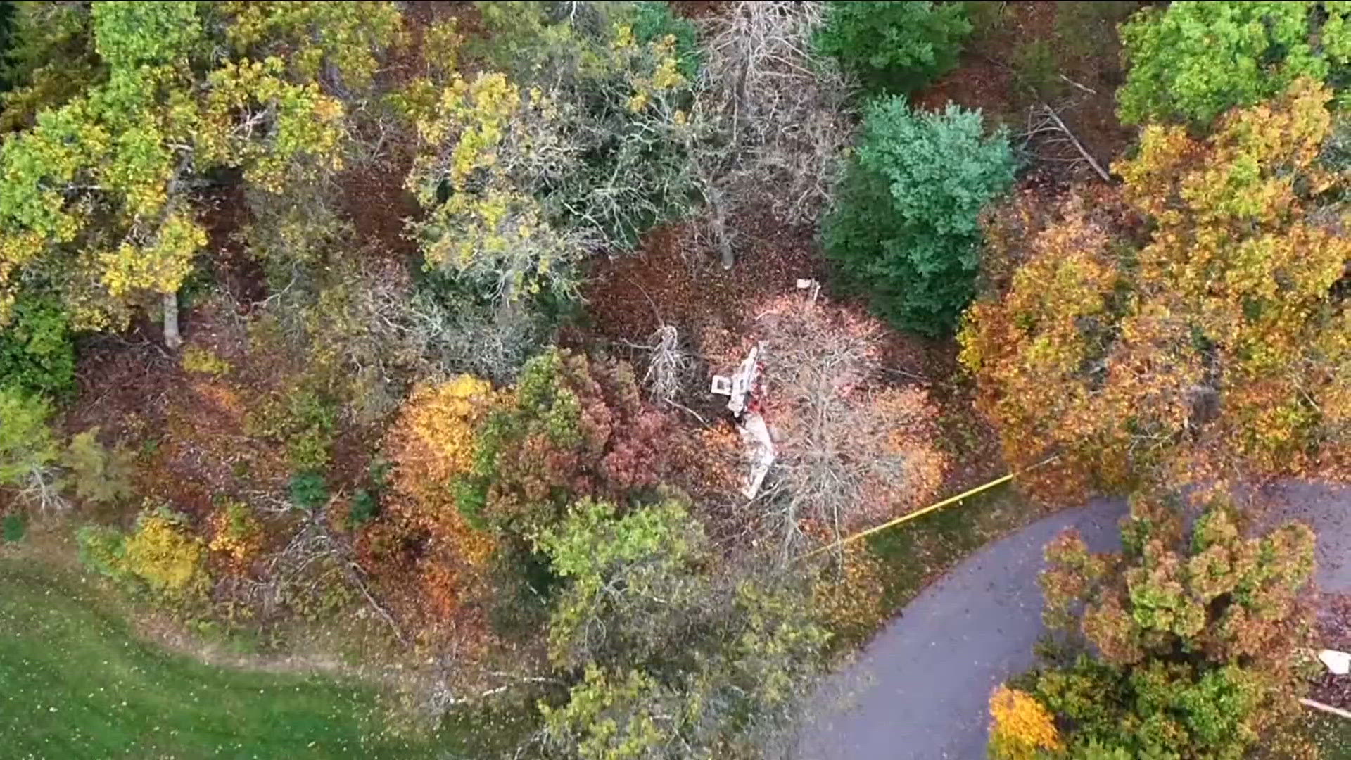 Plan Effects Example New laws going into effect Jan. 1, 2026 | kare11.com