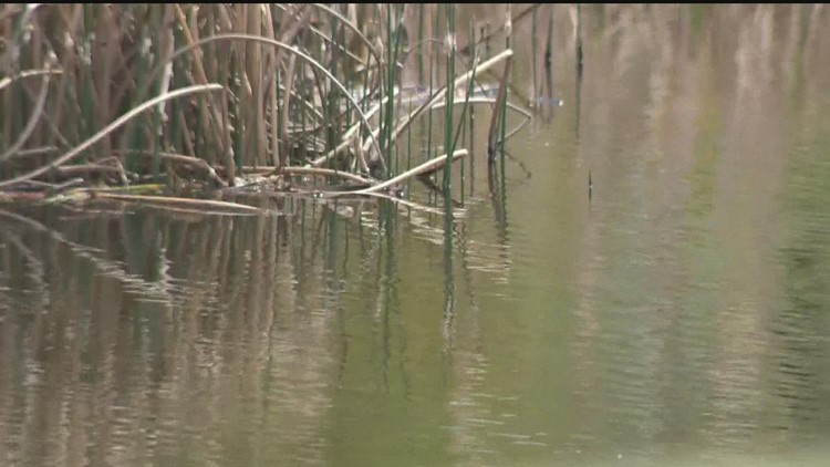 Nearly 70,000 gallons of sewage spilled into Thompson Lake