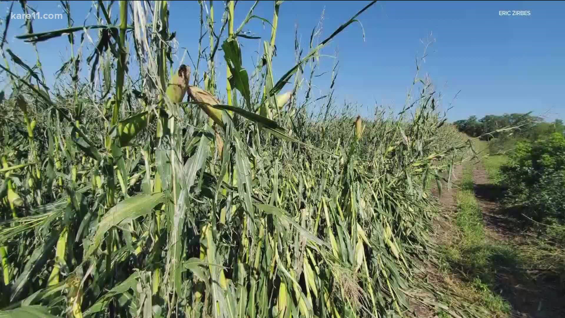 Severe weather brings hail, winds and tornado warnings to Eric Zirbes' corn and soybean fields.