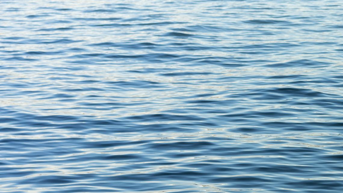 18-year-old dead after jumping into Waite Park quarry - Vimarsana News