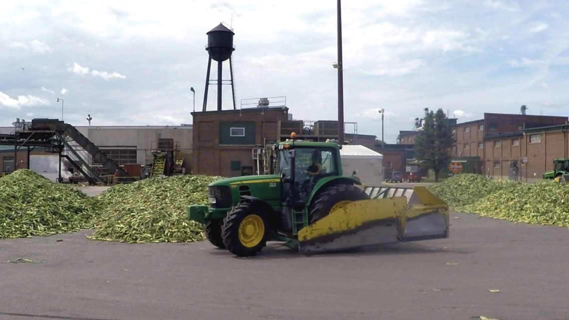 Sleepy Eye Del Monte plant set to close, lay off 363 workers