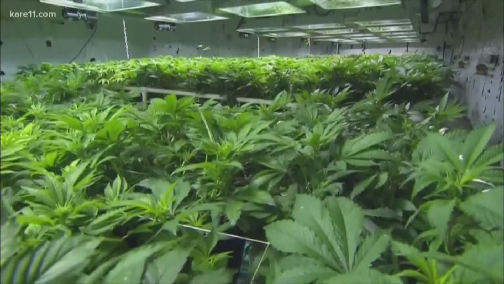The first bill to focus on recreational marijuana is on the table at the State Capitol. The talks could send this question to the voters, as early as 2020. https://kare11.tv/2FQCpyo