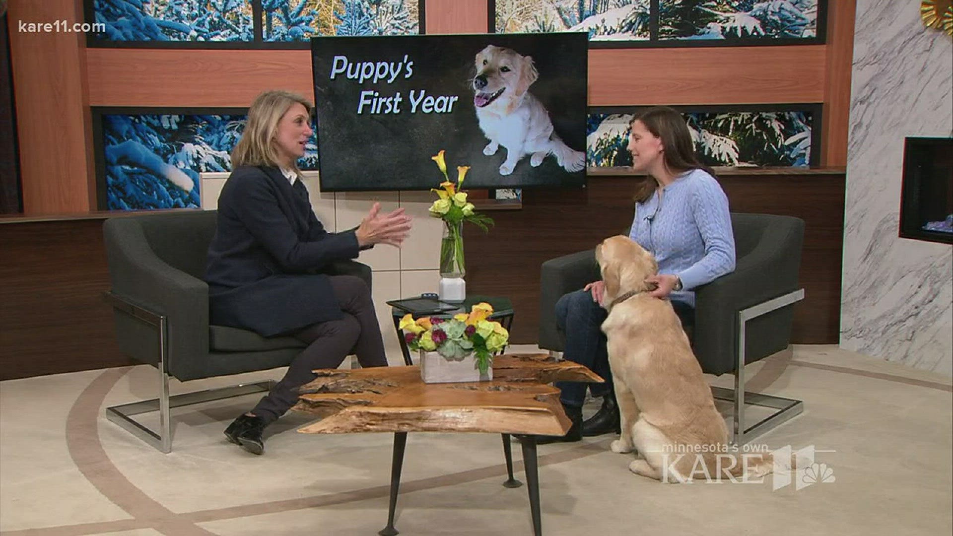 Kathryn Newman gives tips to help train your dog to come when called.