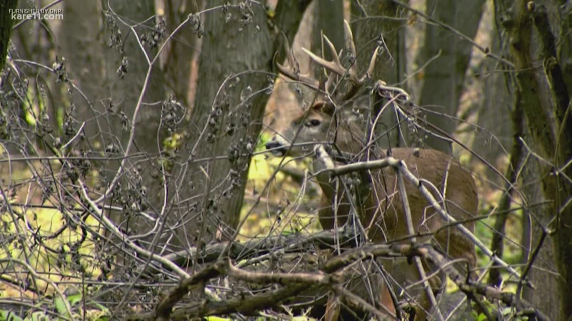 Walz' Governor's Deer Hunting Opener location announced | kare11.com