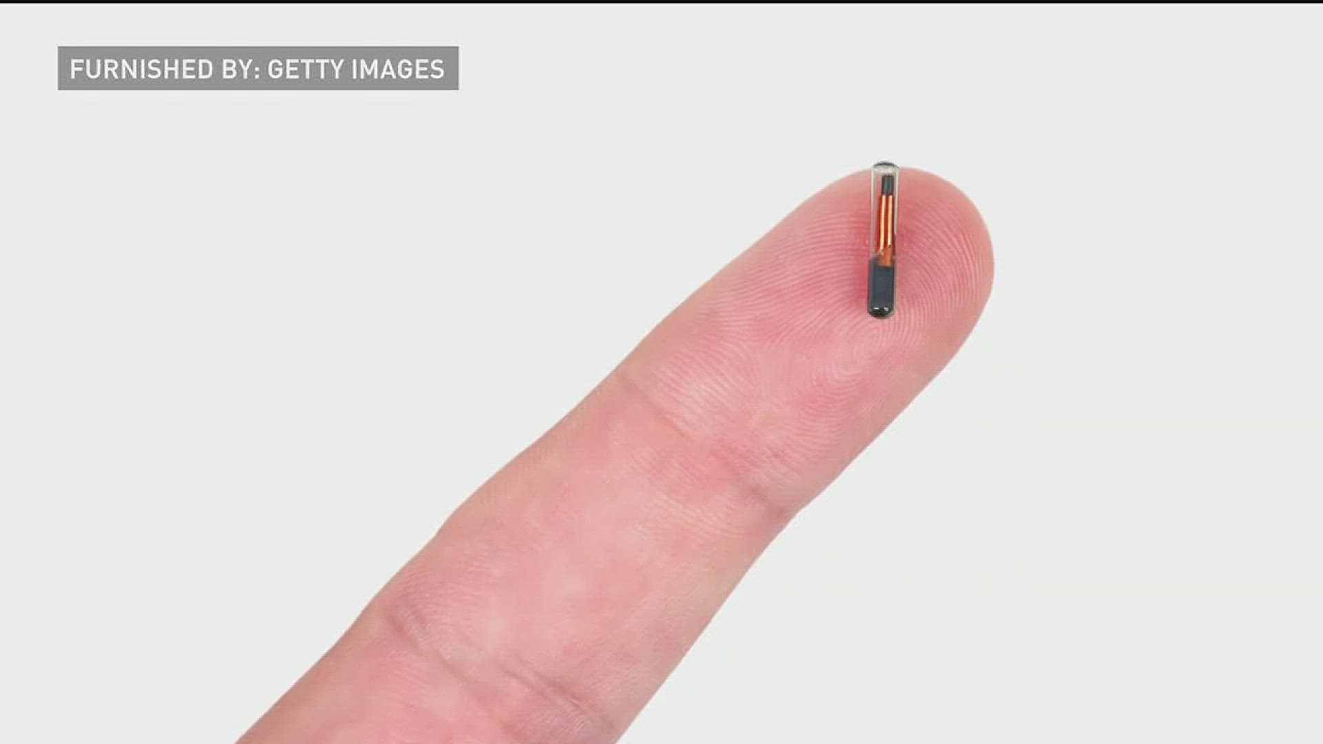 Forget fobs or key cards, one Wisconsin company is giving its employees the choice to implant a work-issued microchip into their skin to access the building. http://kare11.tv/2tuN8p0