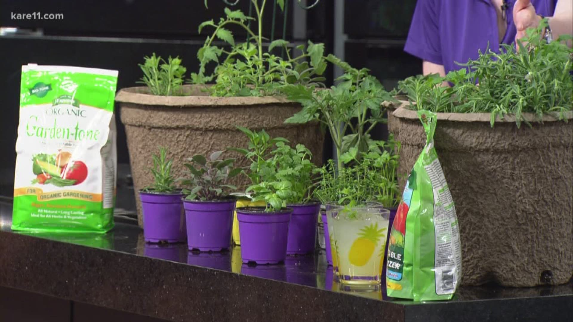 Container gardening tips from Bachman's