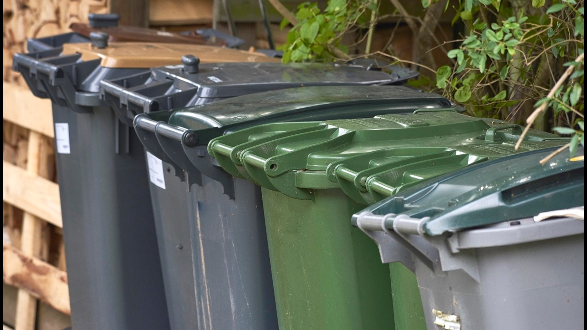 Minneapolis yard waste pickup to switch schedule June 20