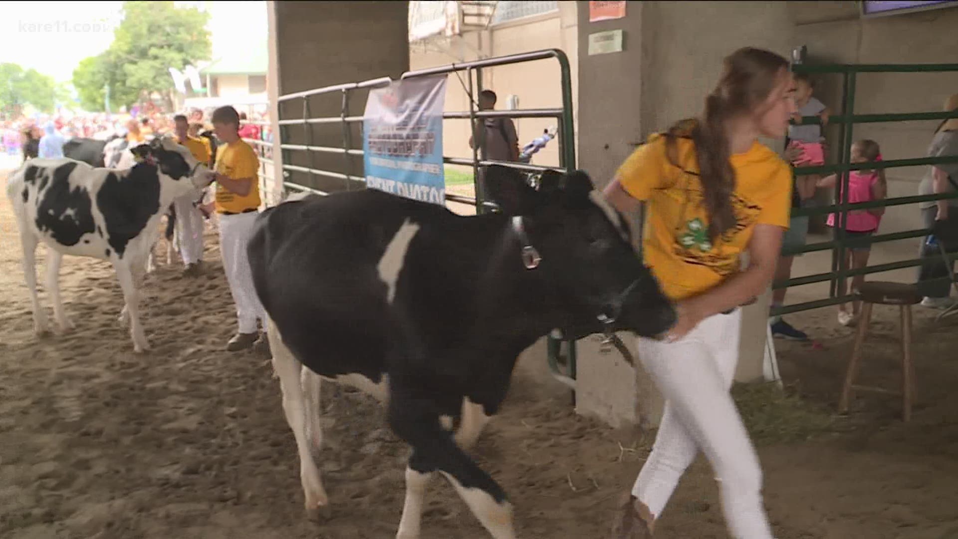 Minnesota 4-H pivoted after the cancellation of the MN State Fair, making plans to take the annual 4-H livestock shows virtual.