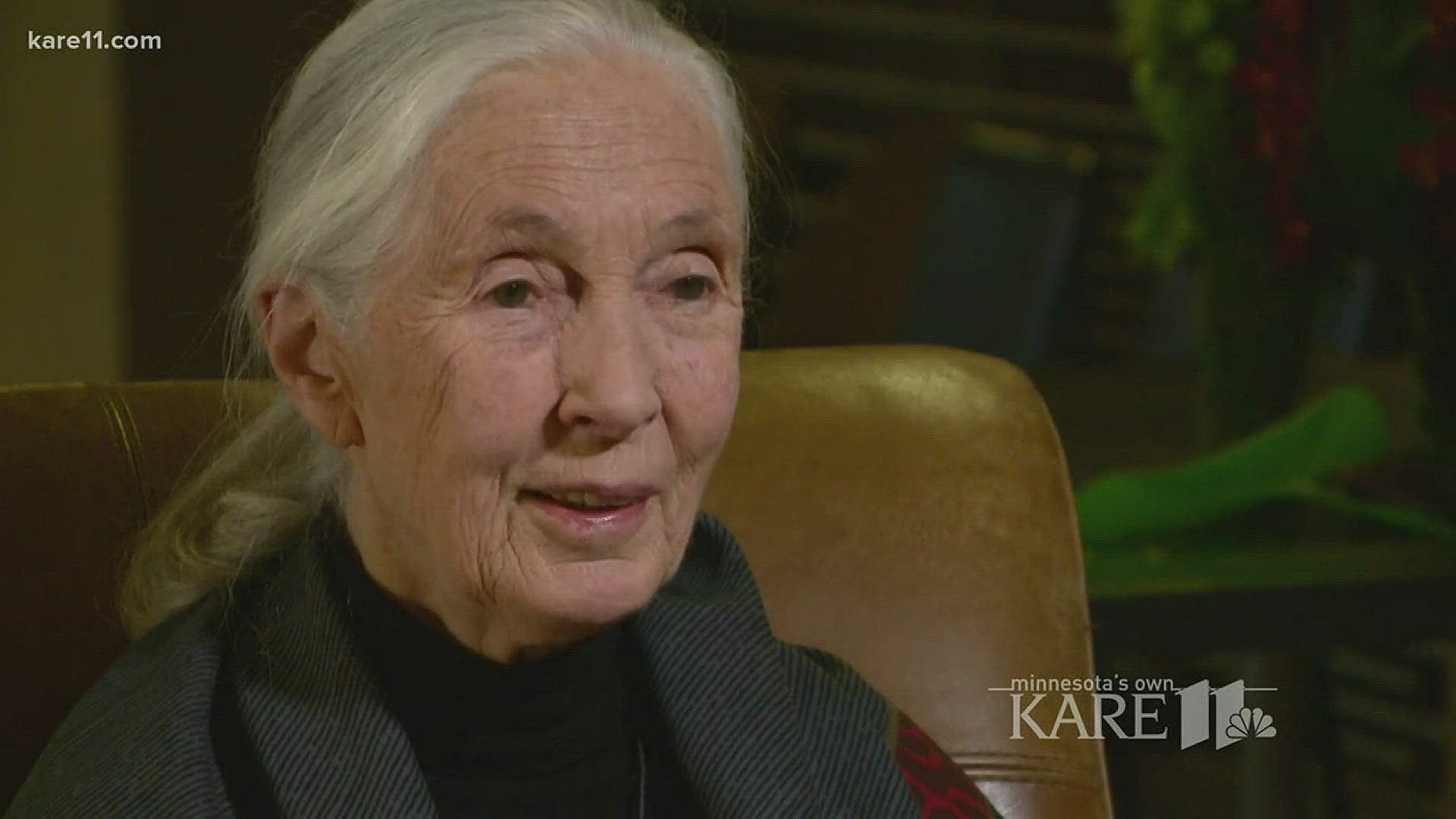 Sven had the chance to sit down with Dr. Jane Goodall, one of his idols in science, during her visit to Minnesota.