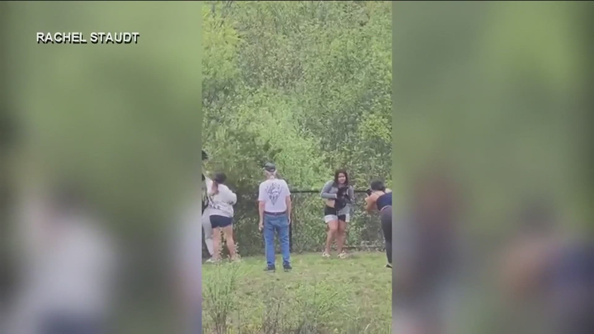 The group appeared to be harassing the bear cubs so they could take selfies with them.
