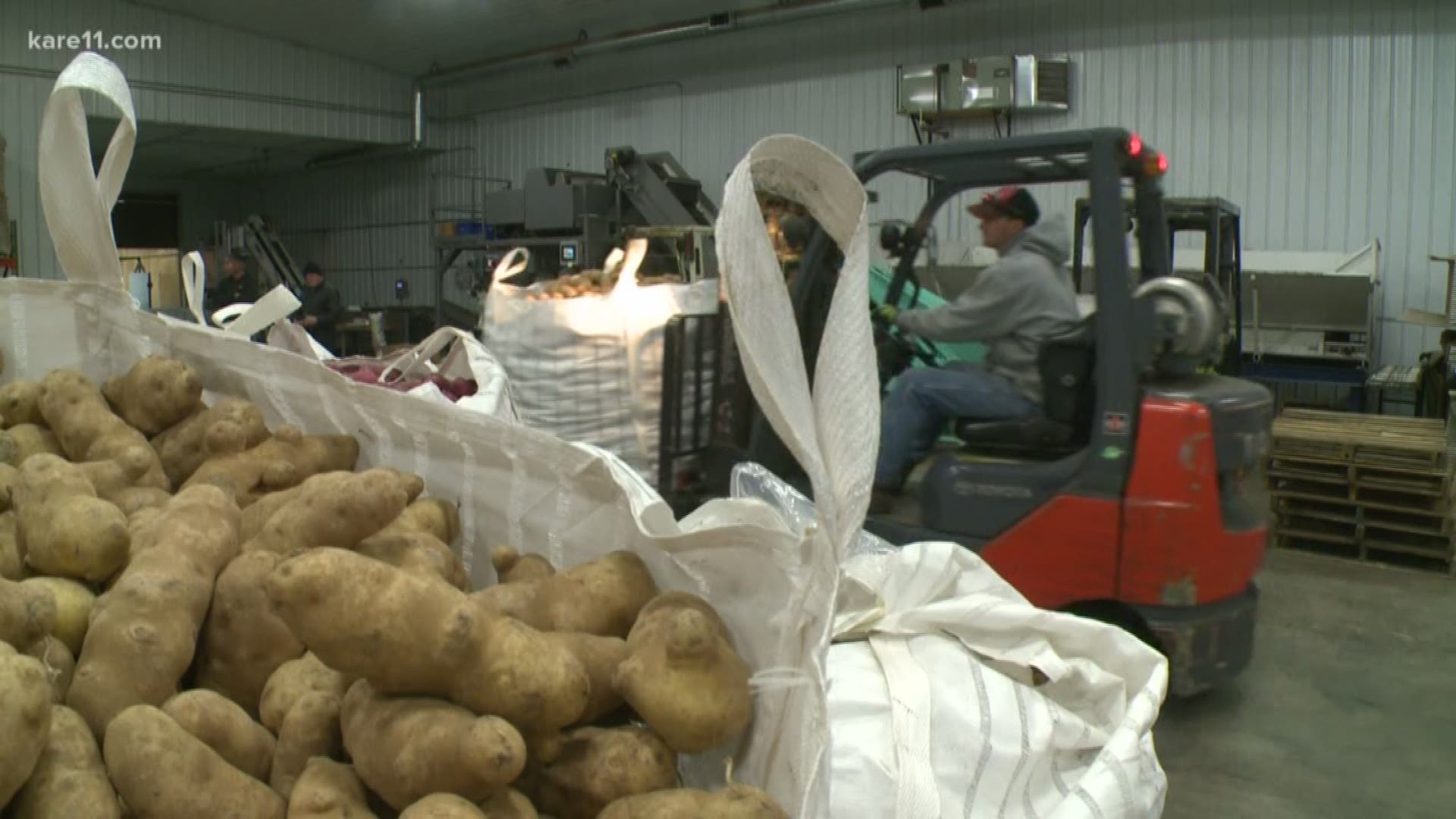 Thousands of people will be dishing up a little taste of Minnesota on their Thanksgiving plates this year. A central Minnesota farm is donating thousands of pounds of potatoes to feed those in need.