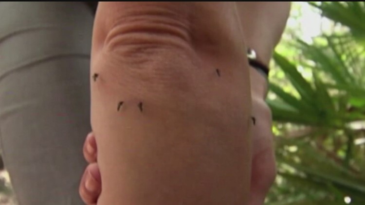 Yes, the mosquitoes are bad right now; here's why