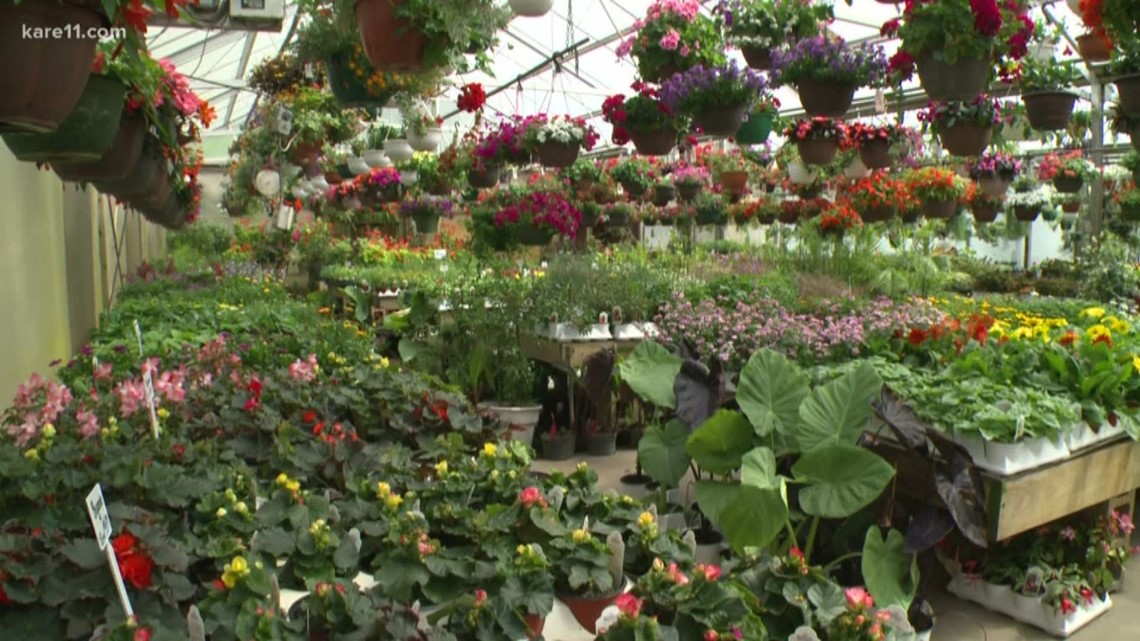 International Horticultural Expo coming to U.S. for first time with 6-month Minnesota event