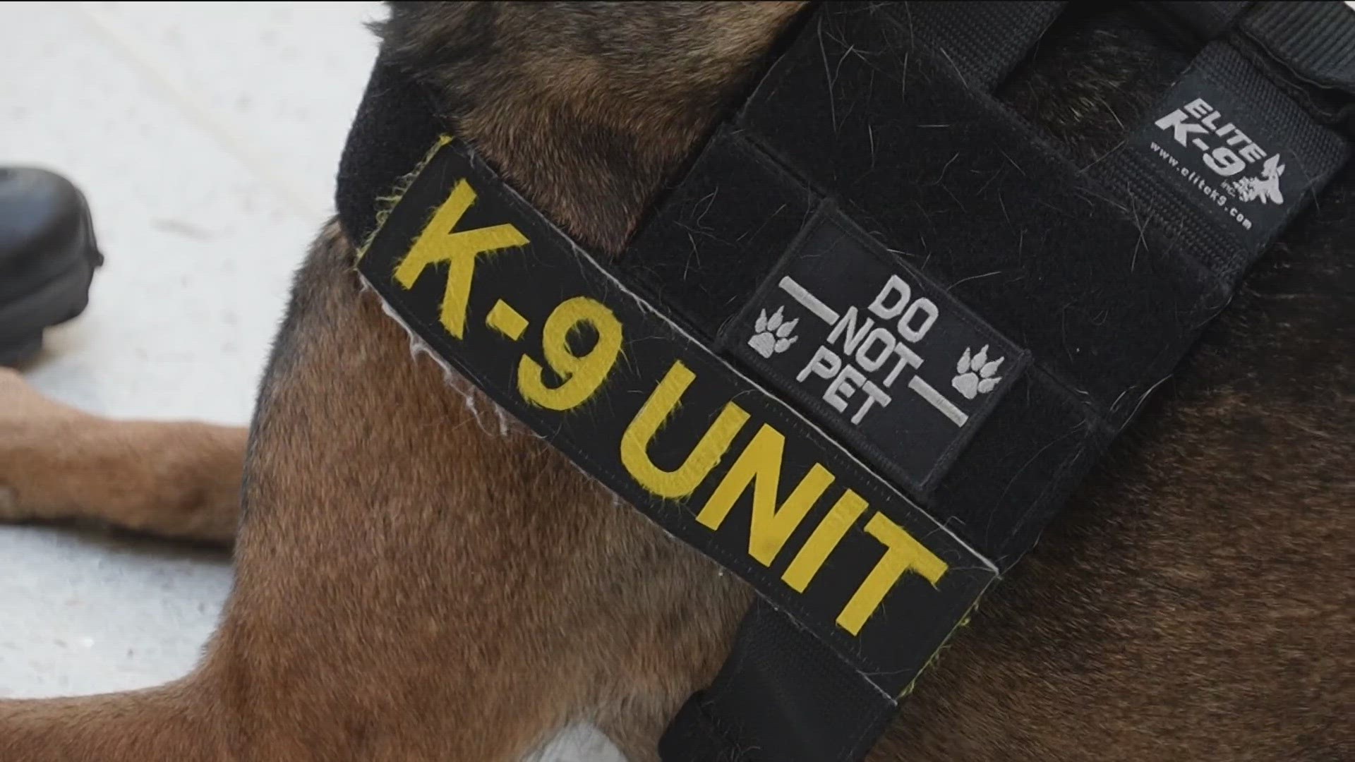 The mall’s K9 team recently expanded its skillset, learning how to sniff to detect guns and explosives in an ongoing effort to keep MOA patrons safer.