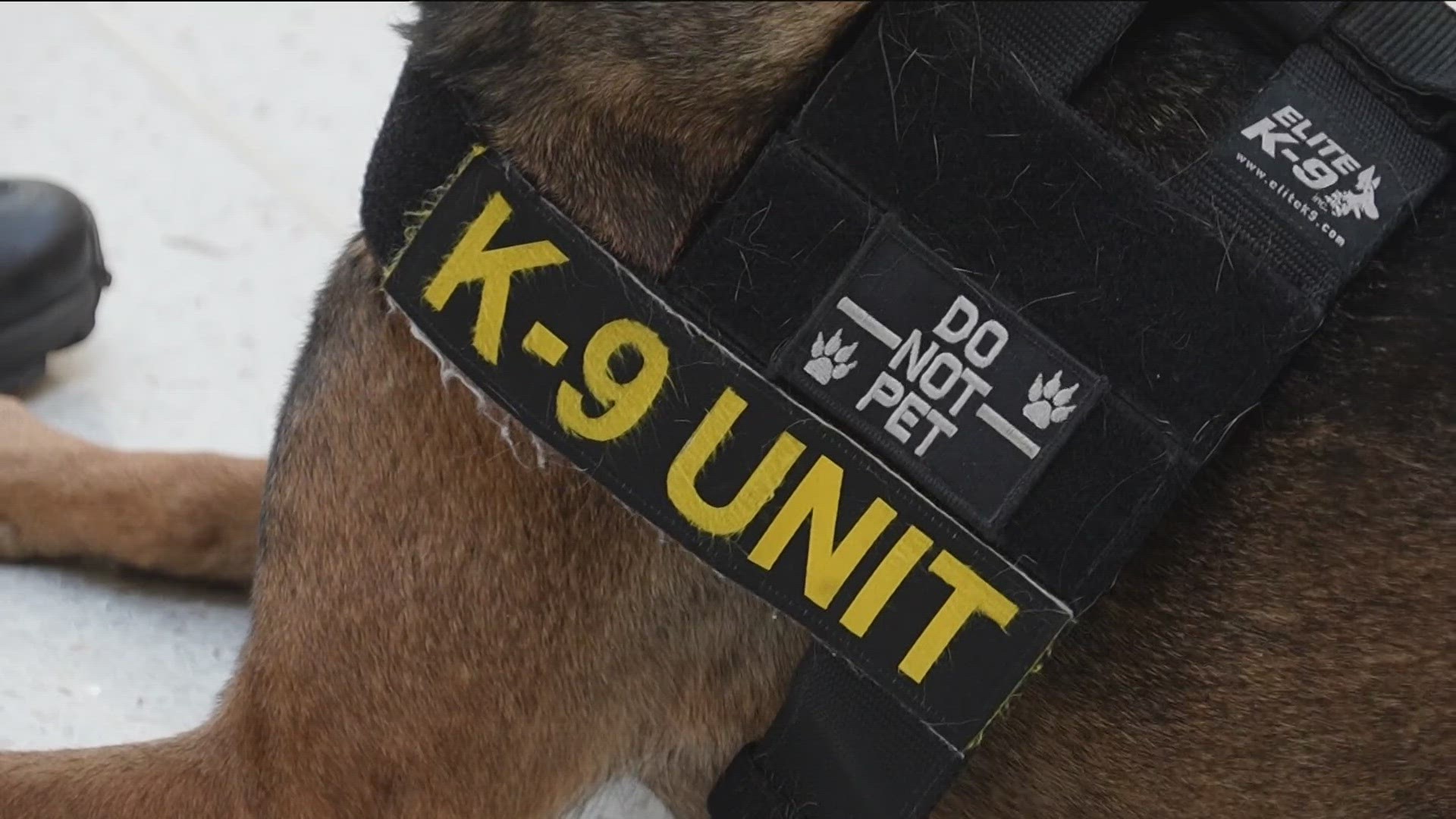 MOA now using gun-detecting K-9 officers | kare11.com