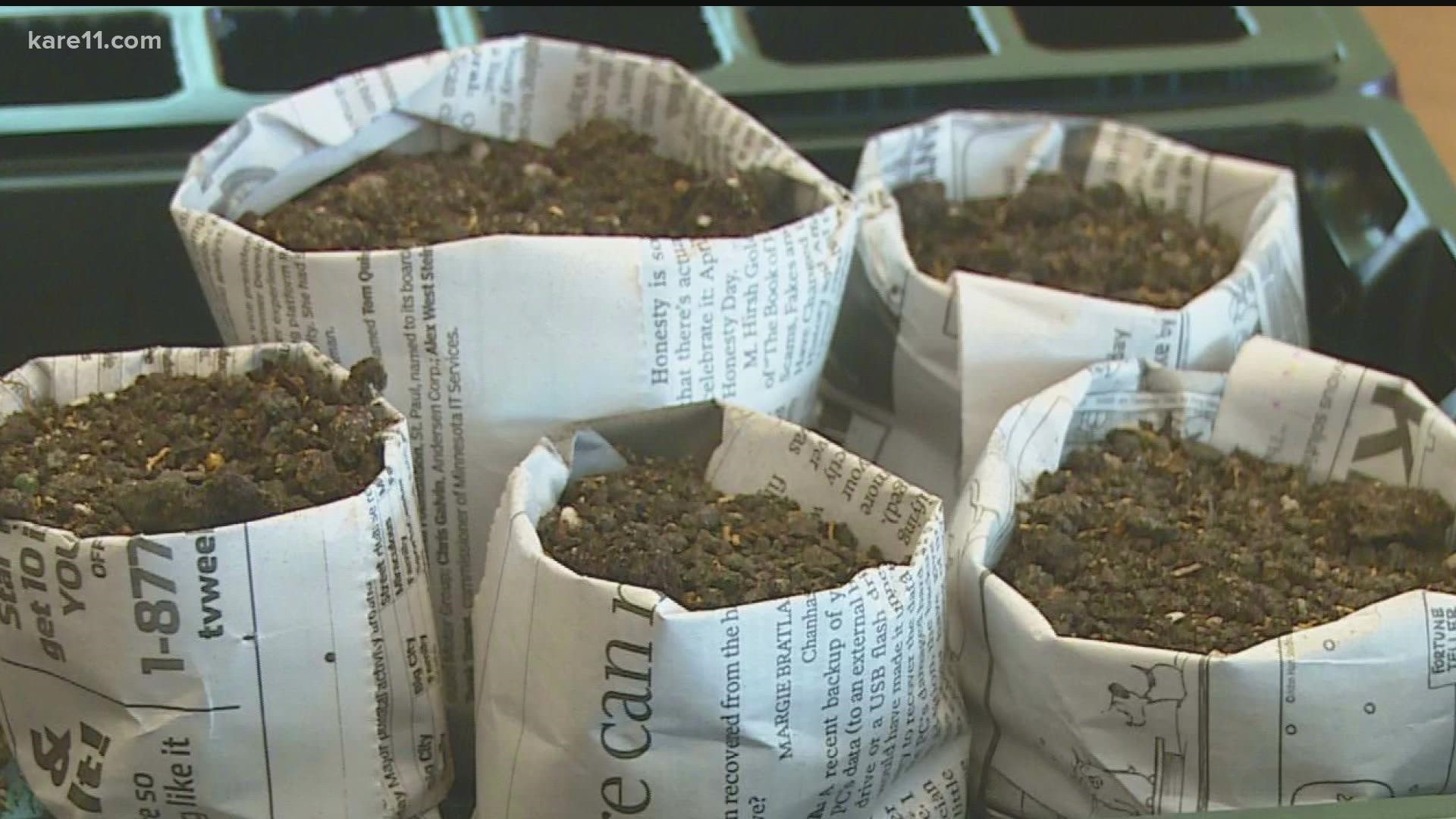 No need to buy the black plastic trays for seed starting — make your own from newspaper!