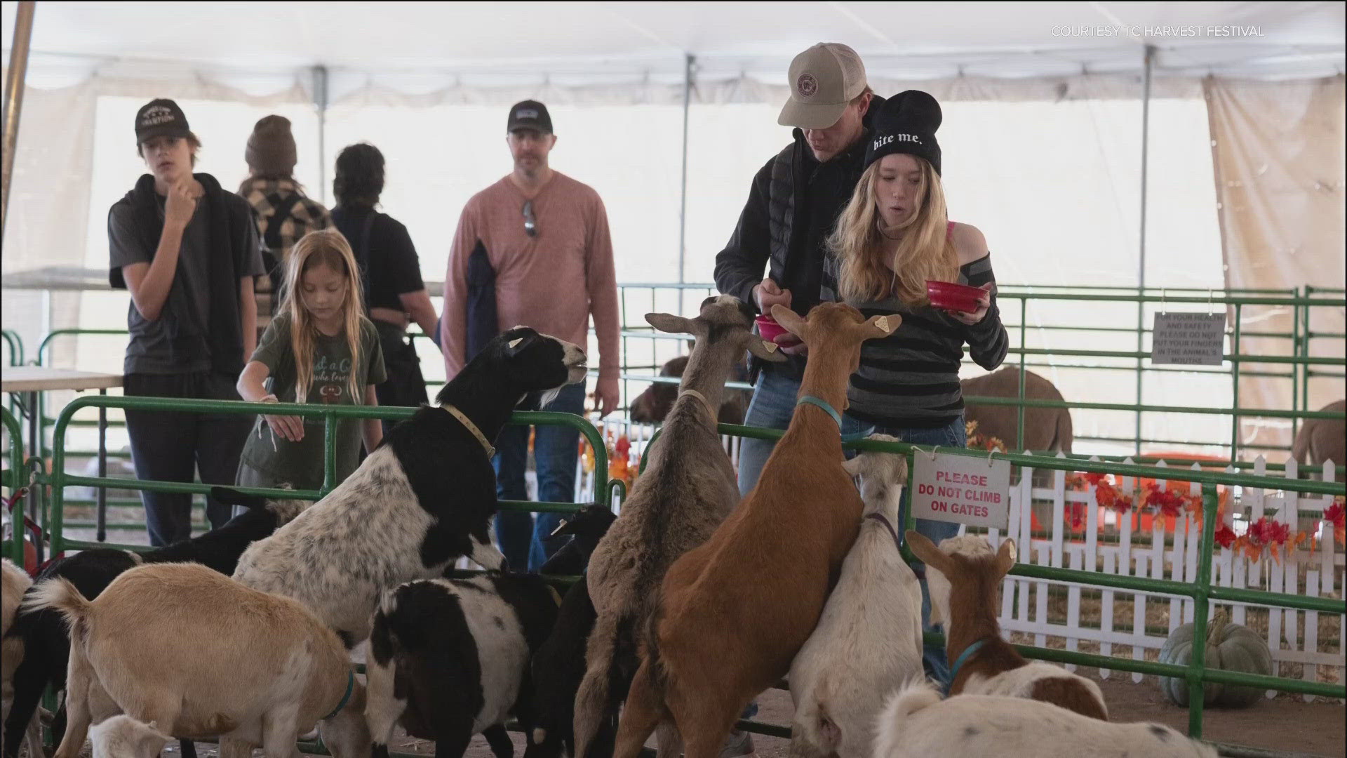 The annual event features fun family activities, food and entertainment, including the star attraction: a 20-acre corn maze.