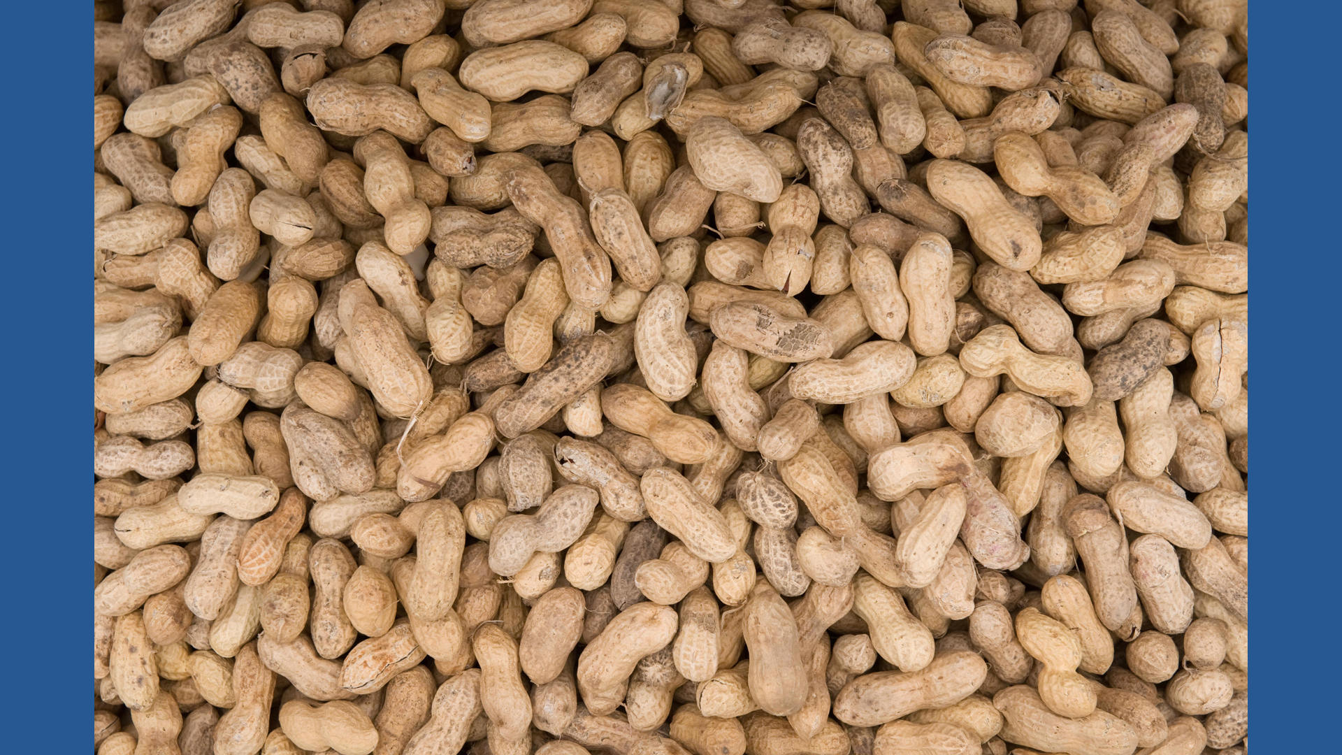 A study that upended medical practice by recommending feeding babies peanut products early to prevent allergies has had a big effect in the real world. 