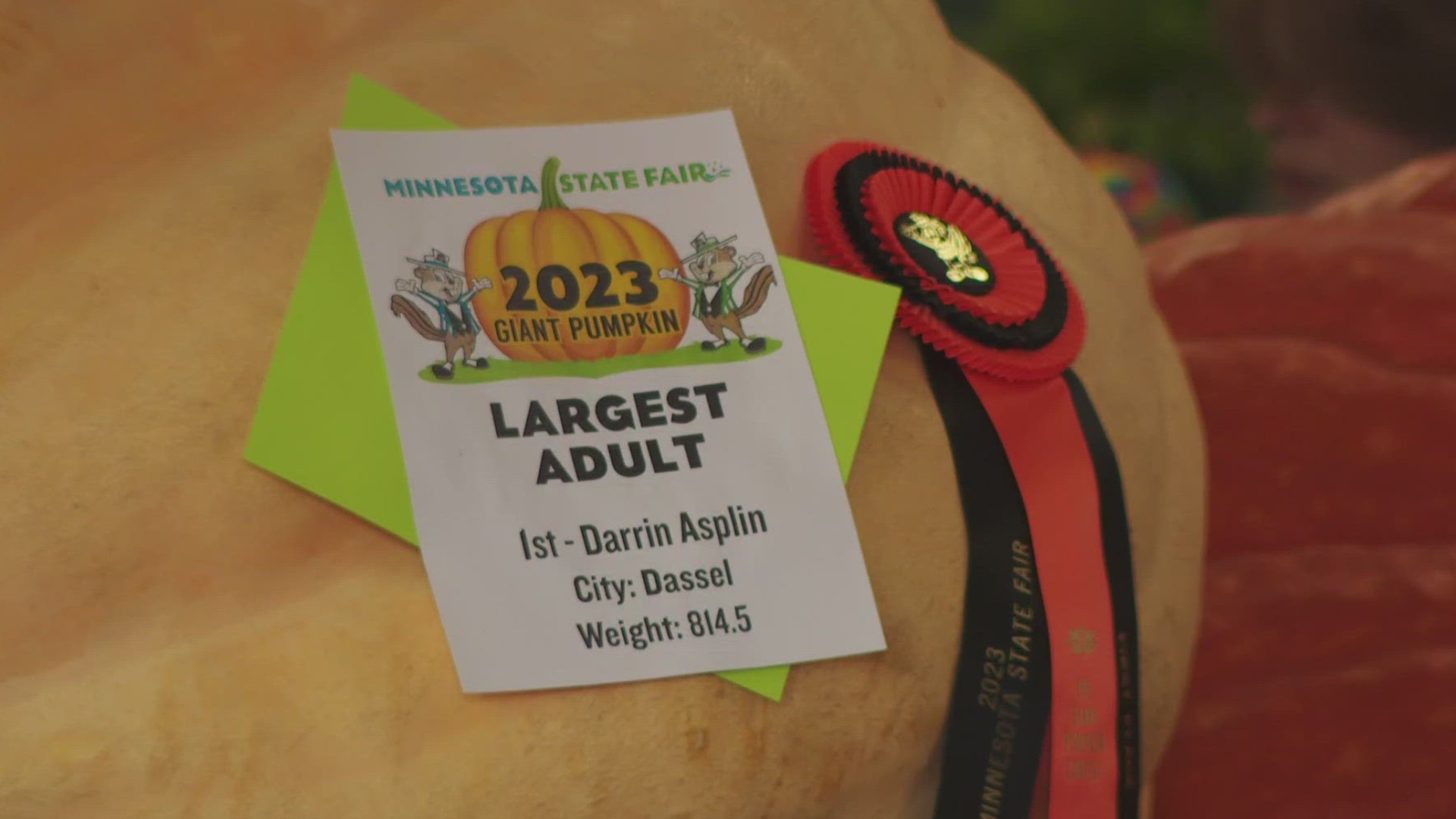 The 814.5-pound gargantuan gourd, grown by Darrin Asplin, was nearly 40 pounds heavier than the second-place finisher.