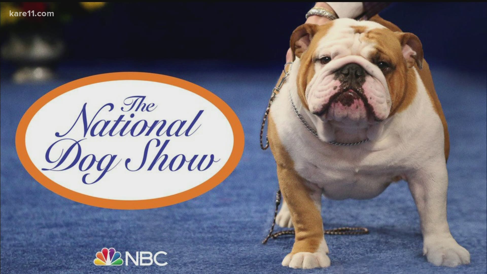 National Dog Show returns to NBC this Thanksgiving
