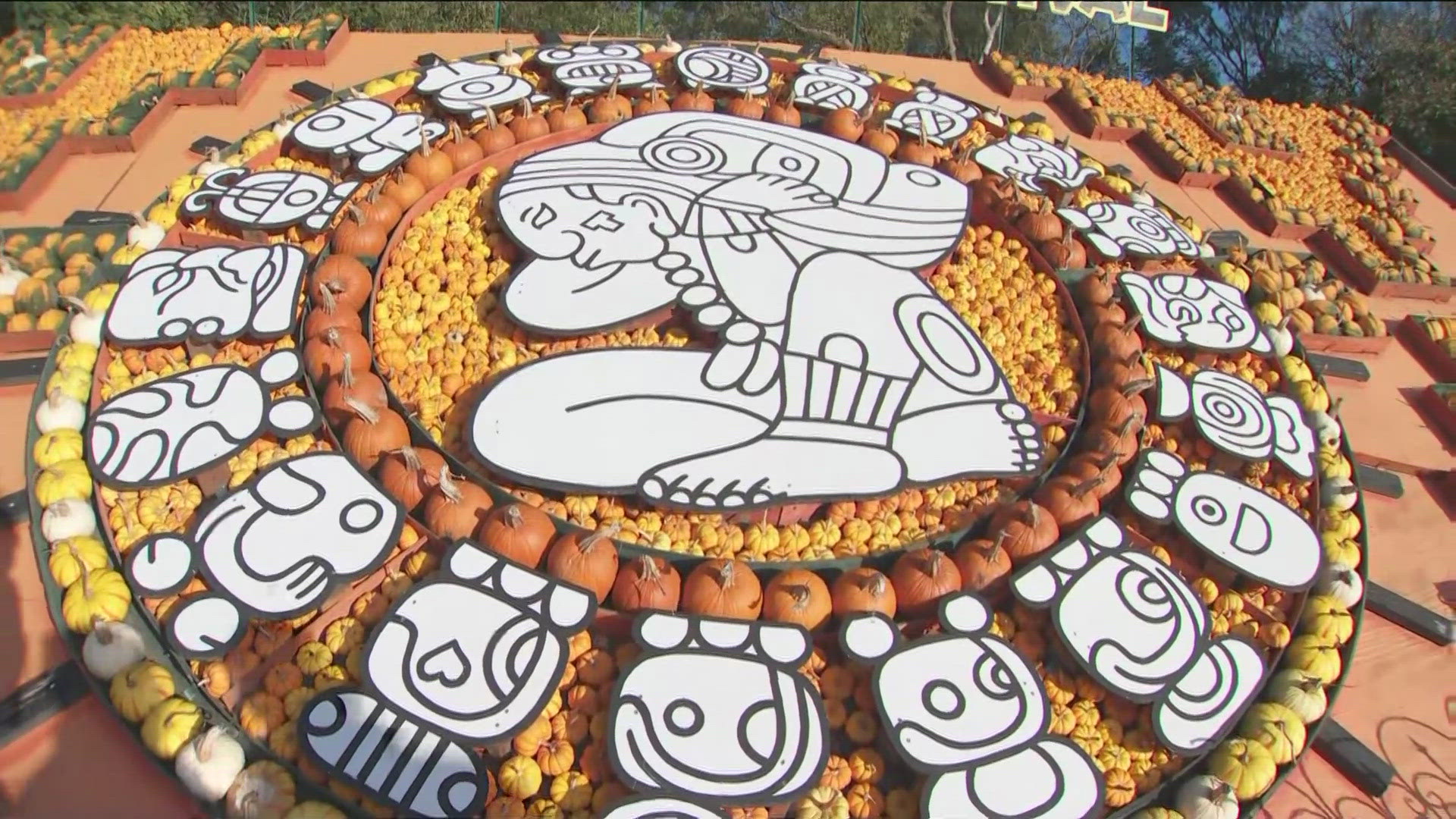 Sever's Fall Festival in Shakopee celebrates its 29th year with an "Ancient Civilizations" themed corn maze.  