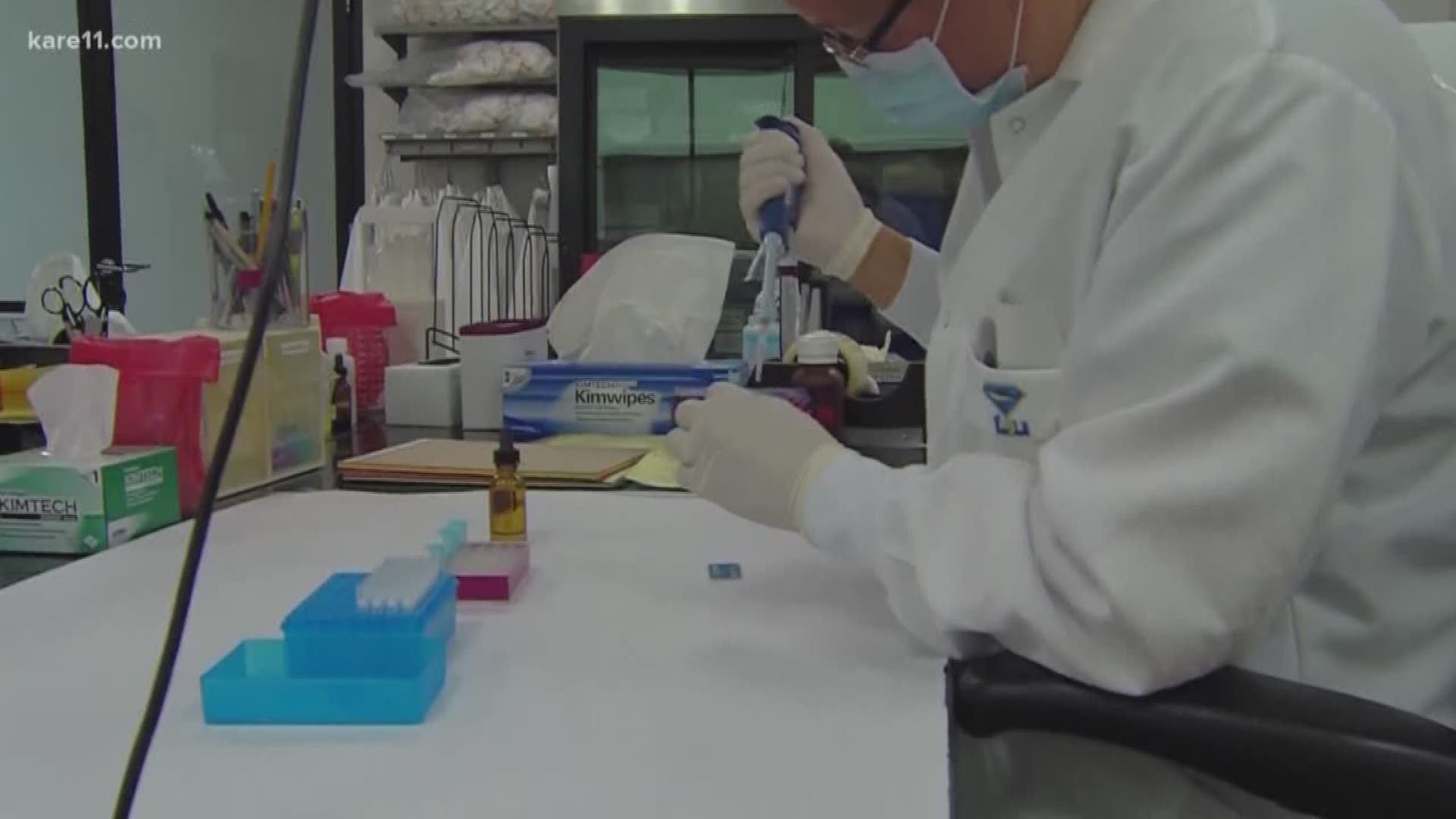 Lawmakers say the BCA failed to follow a law requiring a complete count of all rape kits not tested for DNA.