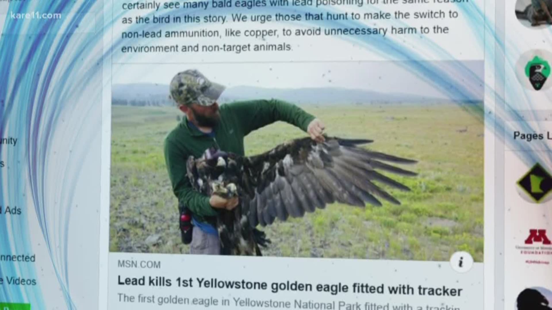 The first golden eagle in Yellowstone National Park fitted with a tracking device has died of lead poisoning, likely after consuming bullet fragments while scavenging the remains of an animal killed by a hunter, officials said Monday. https://kare11.tv/2UmztNI