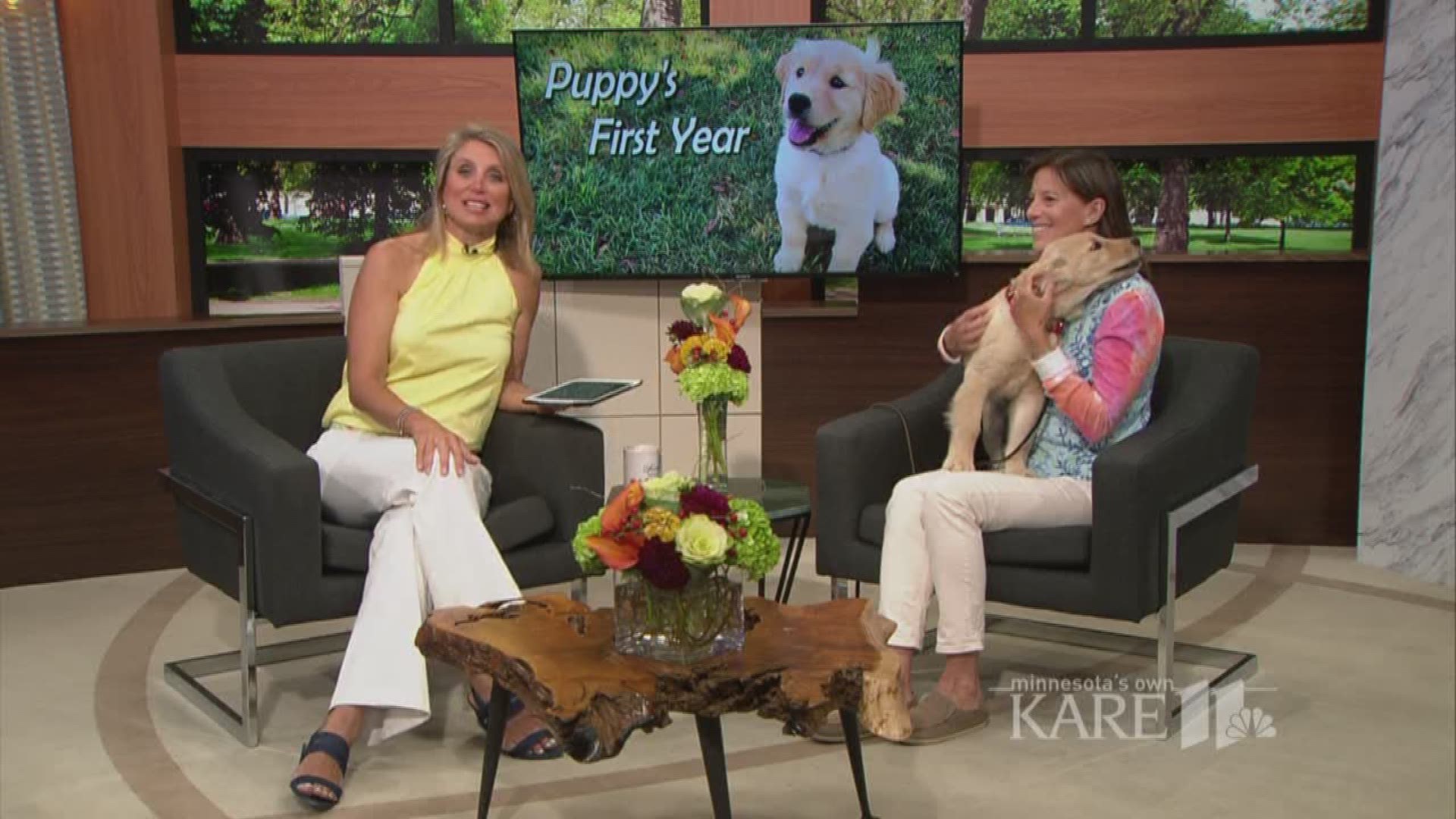 Dog trainer Kathryn Newman and Poppy give tips on a puppy's first year.