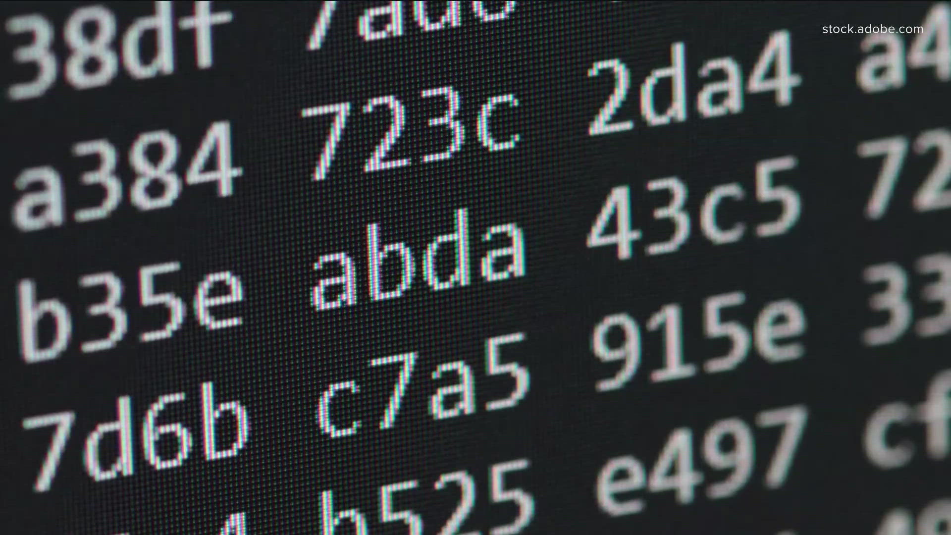 The summit at Metro State University comes on the heels of a major ransomware attack in St. Paul.