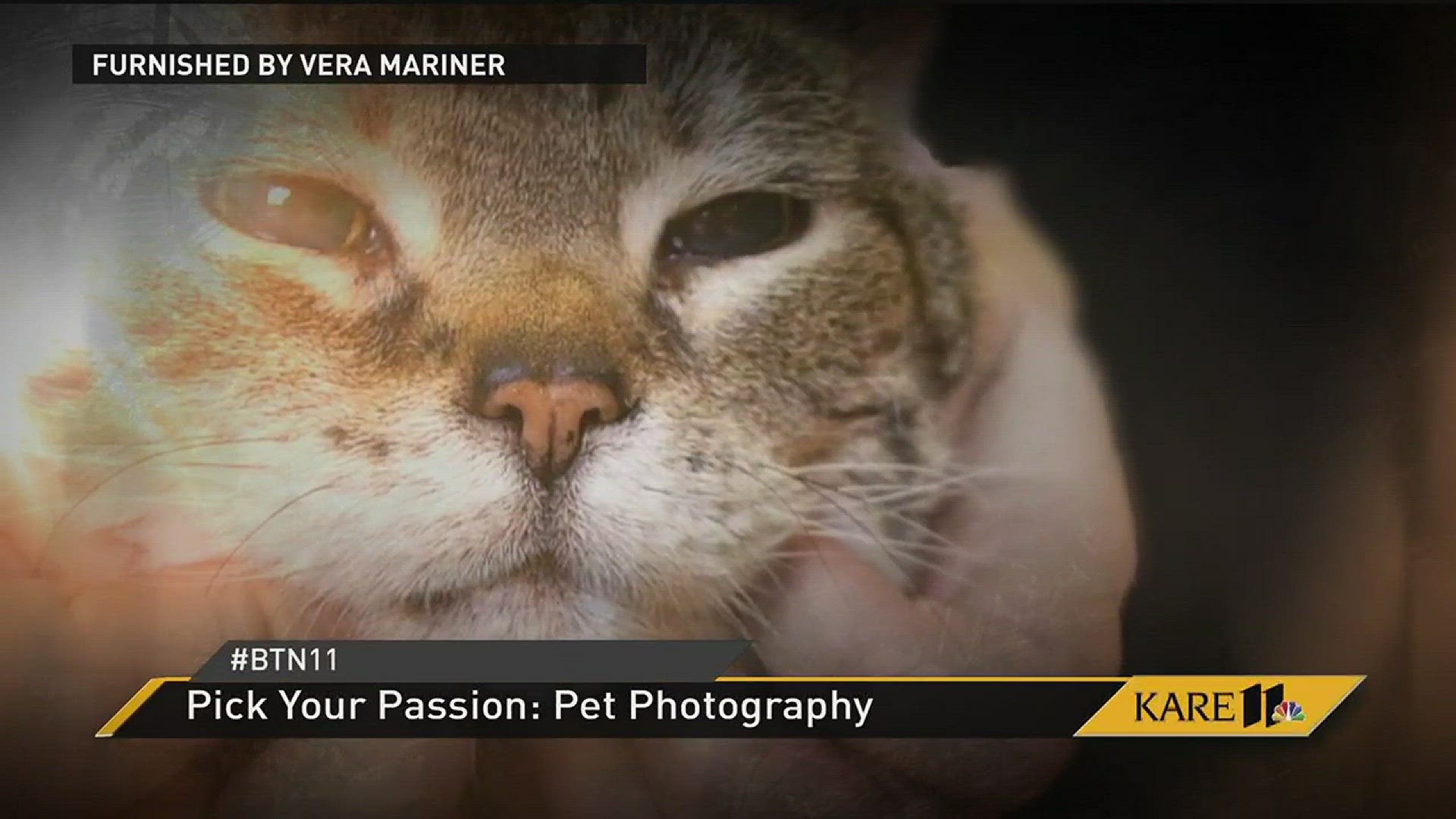 BTN11: Pick Your Passion Pet Photography 