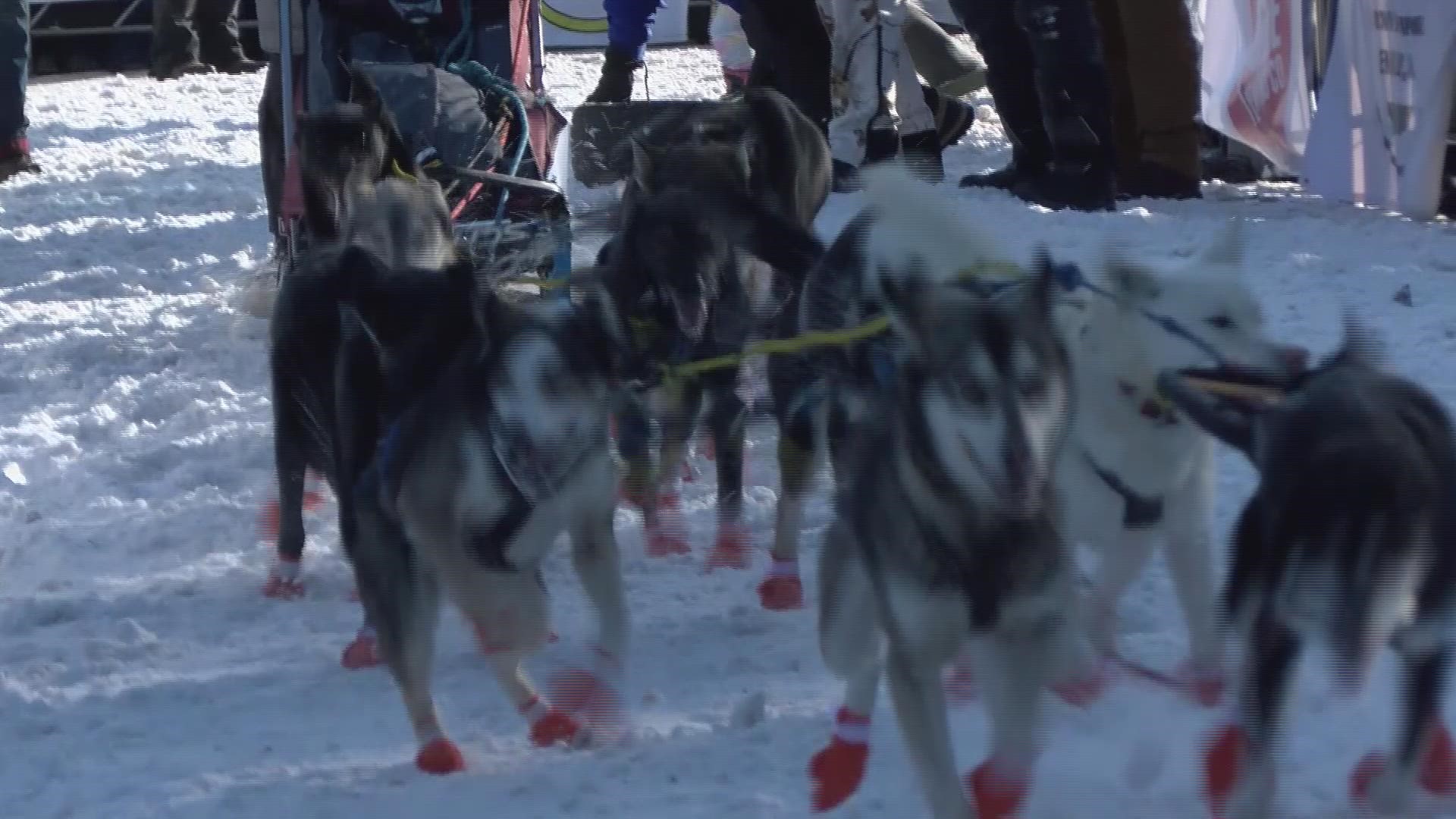 The longest sled dog race in the lower 48 states got underway Sunday, with fans back on the course after missing the '21 edition due to COVID.