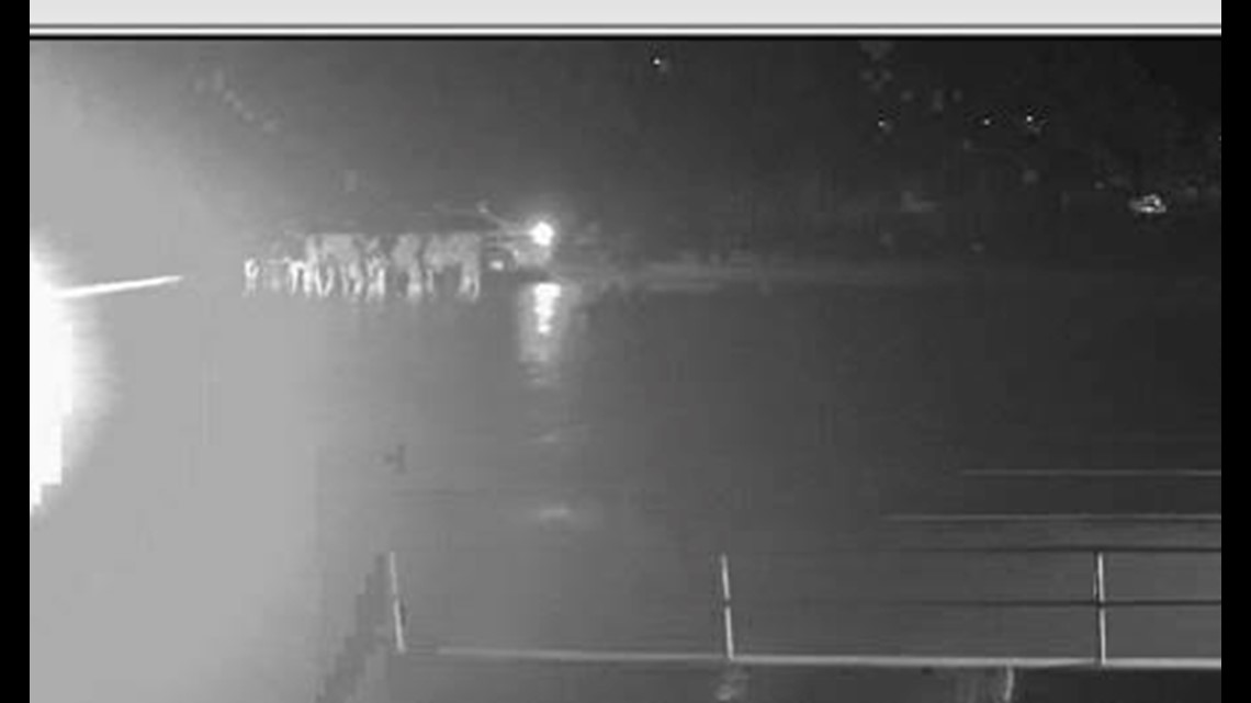 Spotted cows seen outside home of namesake Wisconsin brew