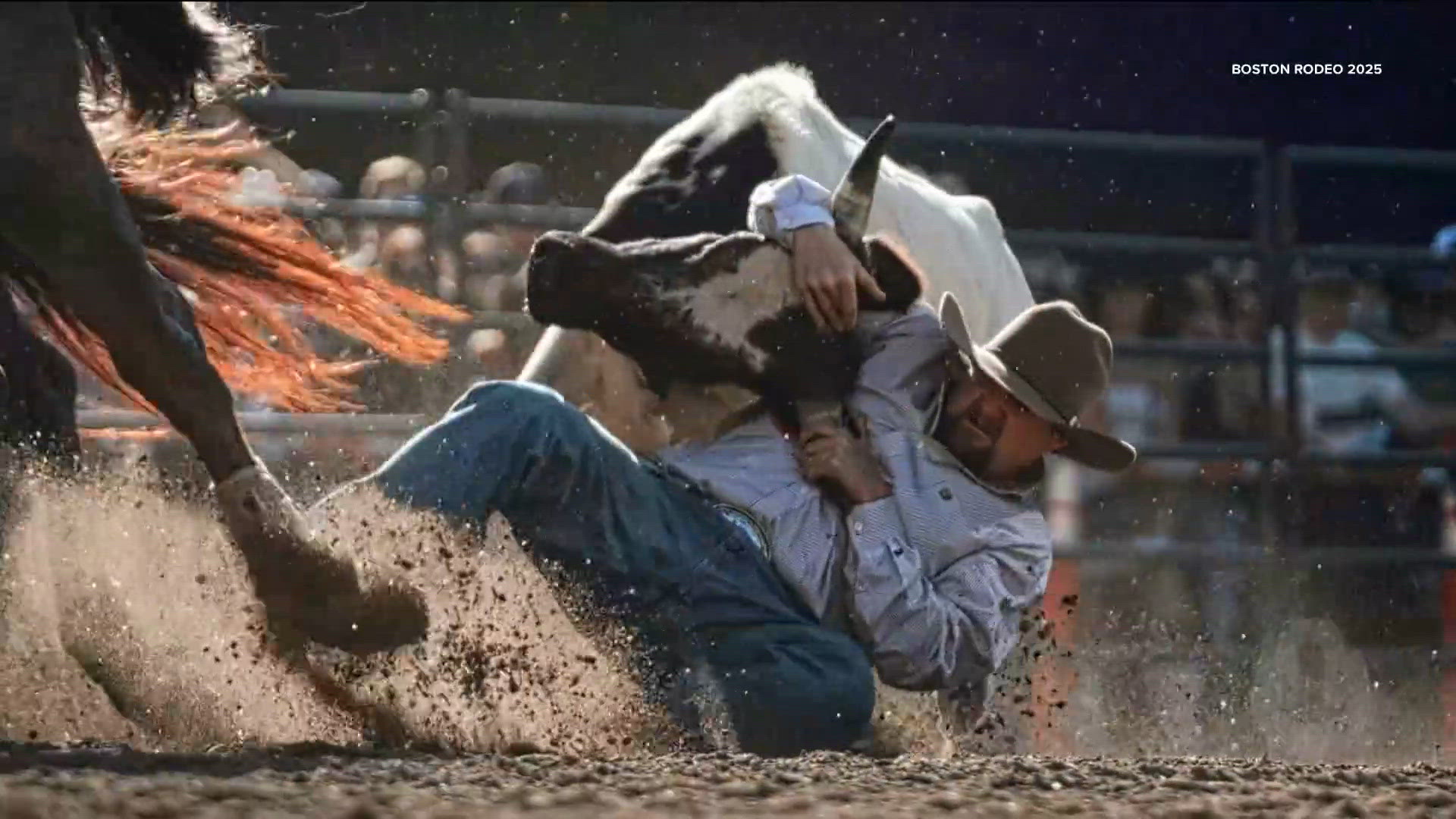 Minnepolis Rodeo Rodeo rides into Minneapolis | kare11.com