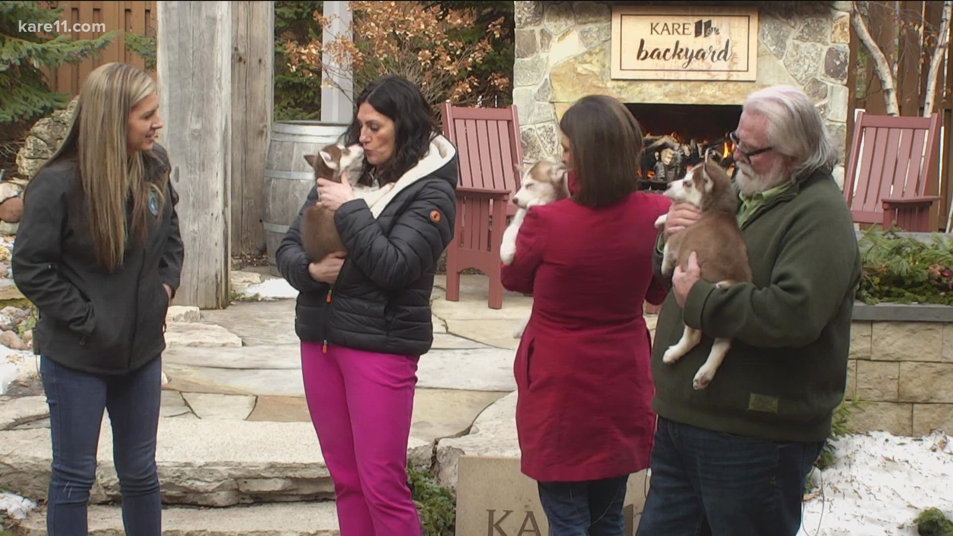 During KARE 11 Saturday, Ruff Start Rescue's executive director outlined some questions every potential pet owner should ask a rescue or shelter before adopting.
