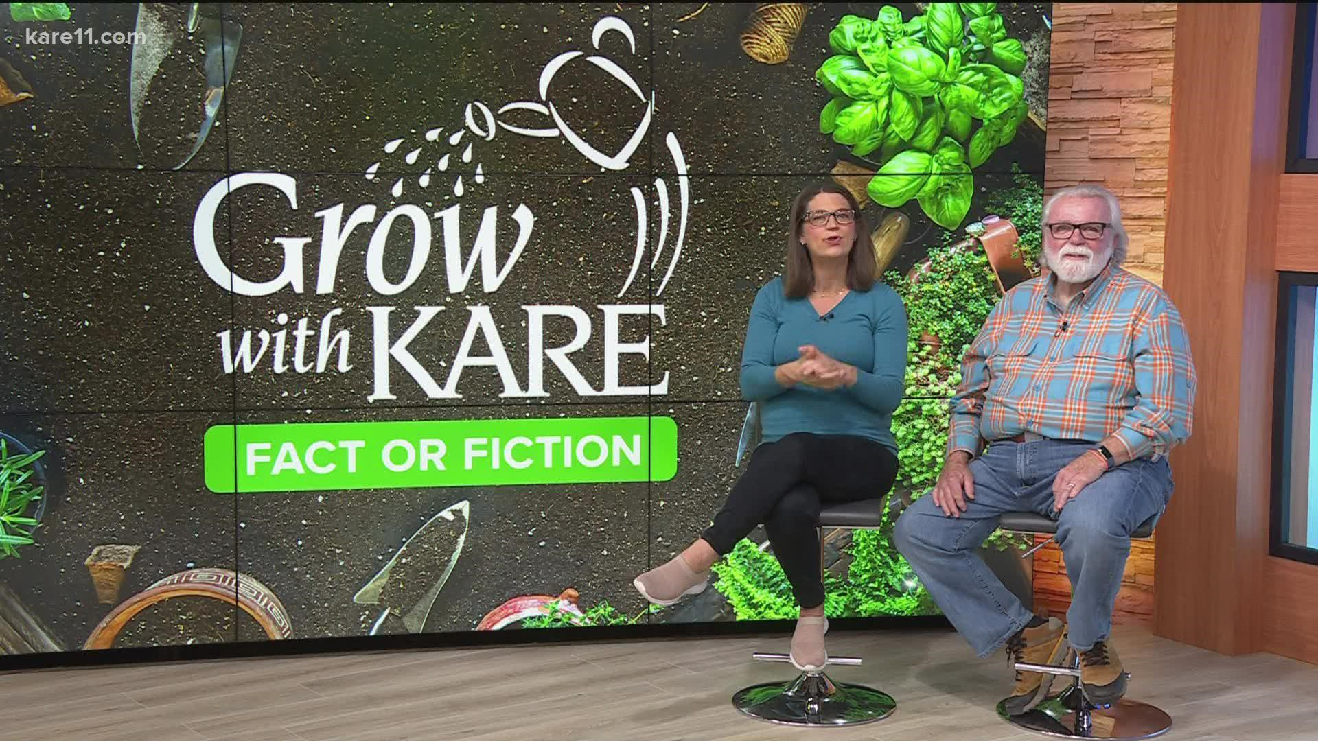 We’re in week three of our Grow with KARE – Fact or Fiction series, looking into common gardening advice and letting you know if it’s good advice or a waste of time.
