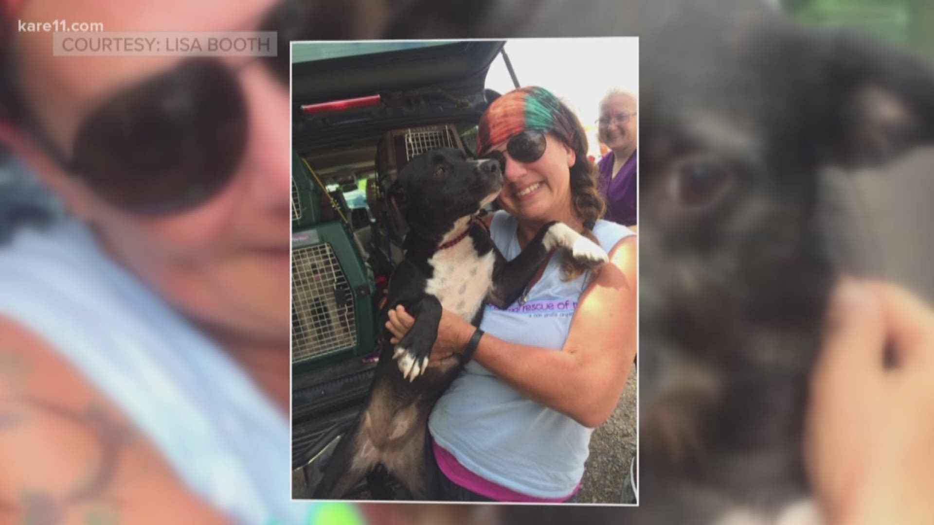 Lisa Booth launched Good Karma Animal Rescue in her own home and has since saved 1,000 dogs. https://kare11.tv/2E8wt2E