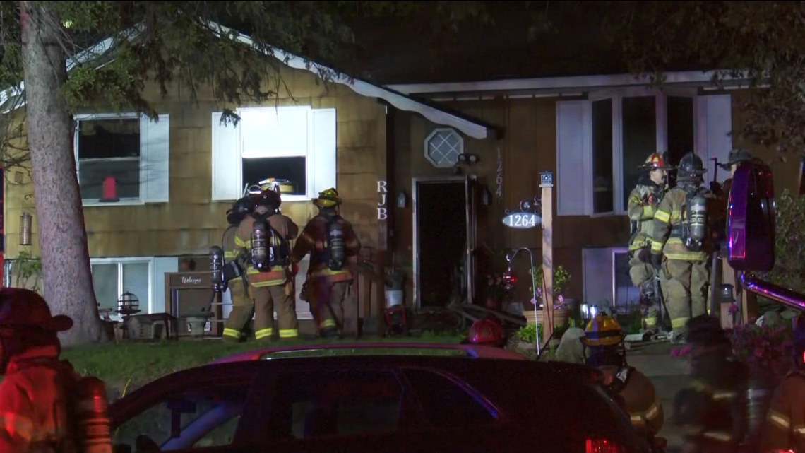 Several pets die in St. Paul house fire