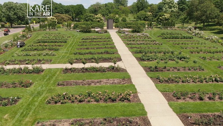 are dogs allowed in lyndale park rose garden