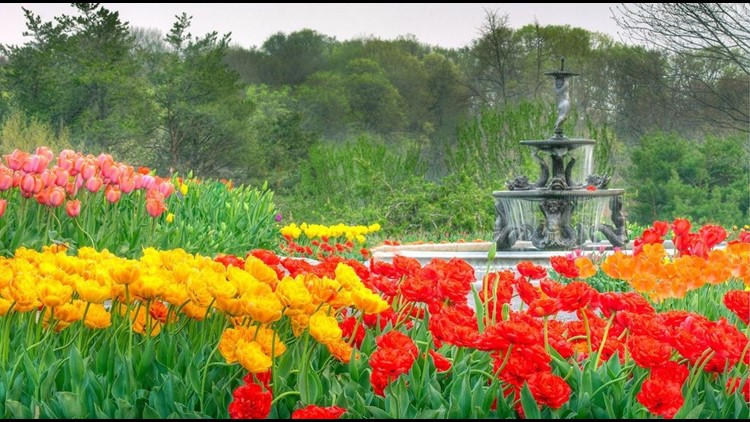 Vote Now For The Minnesota Landscape Arboretum! Kare11.com GROW-WITH-KARE. Vote now for the Minnesota Landscape Arboretum! - Vote Now For The Minnesota Landscape Arboretum! Kare11.com
