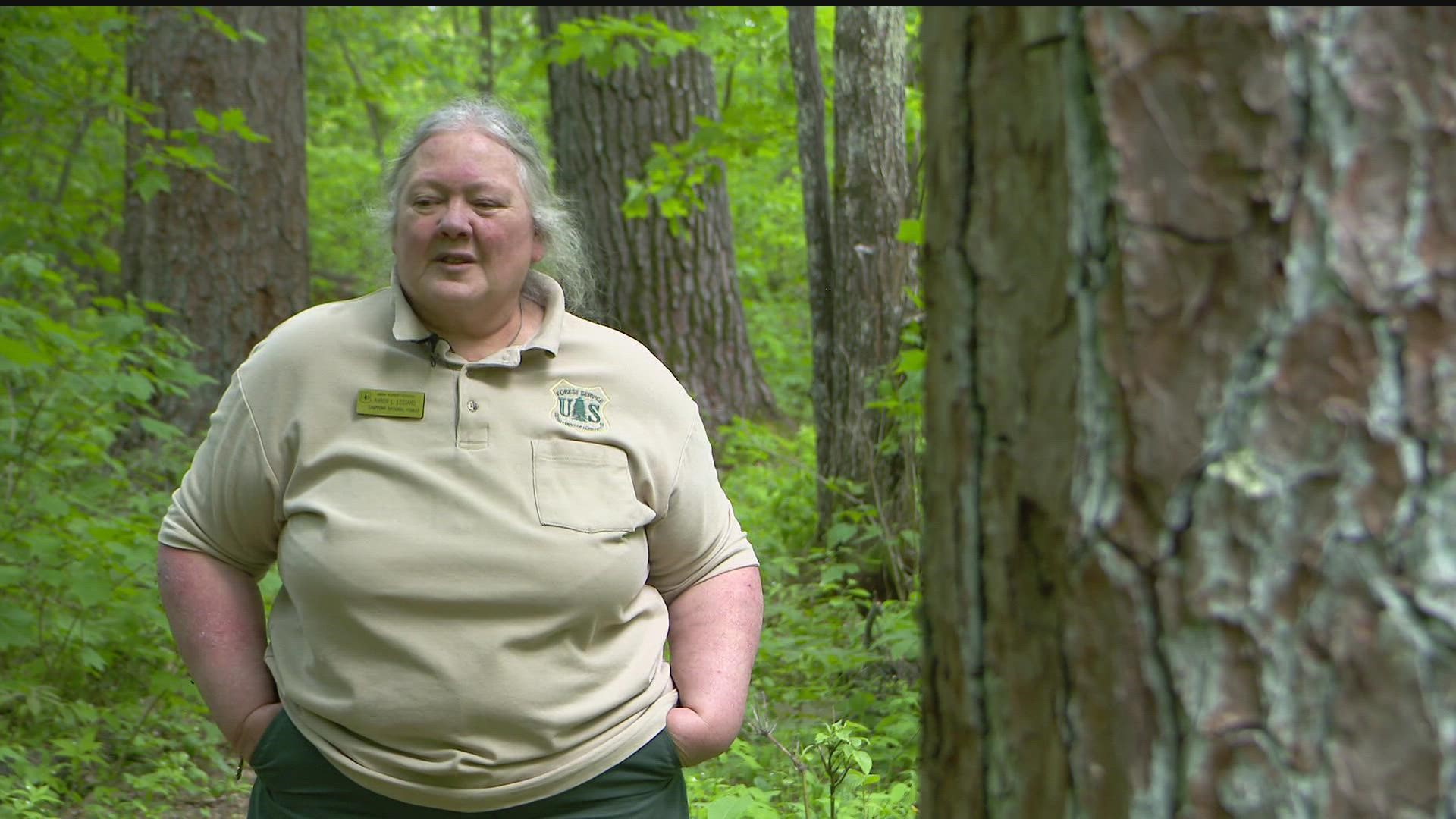 Acres upon acres of untouched forest largely went unscathed in northern Minnesota even during heavy logging in the late 1800s. Here's why?